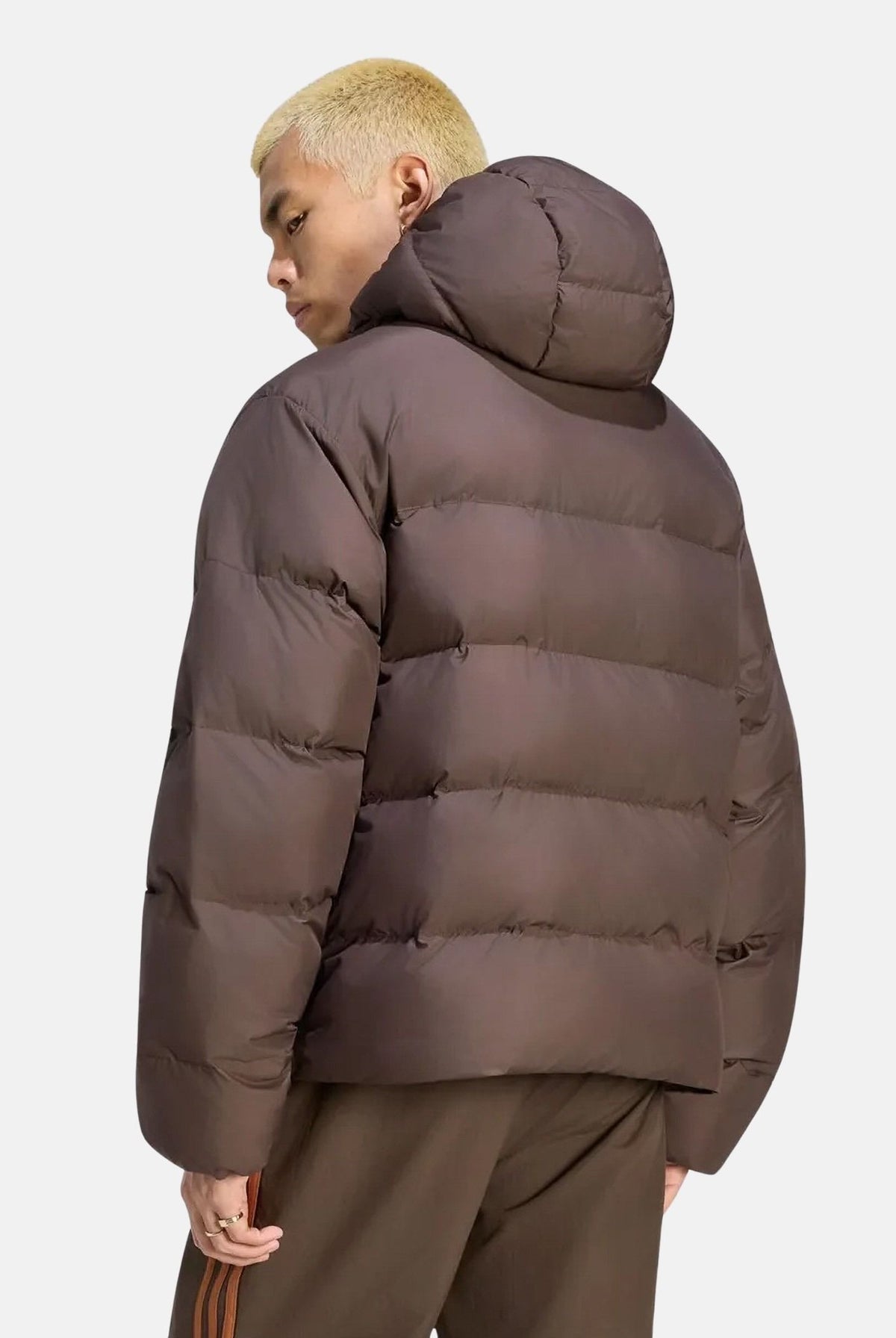 ADIDAS ORIGINALS Piumino PUFFER Aucu marrone da uomo KR7197 . ADIDAS ORIGINALS