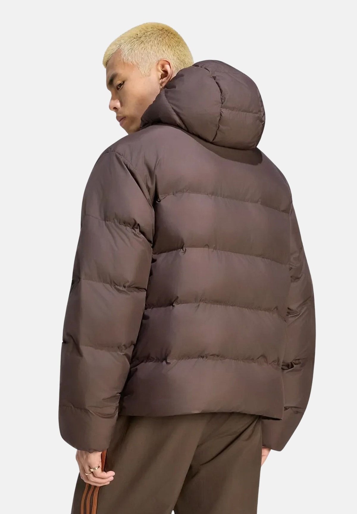 ADIDAS ORIGINALS Piumino PUFFER Aucu marrone da uomo KR7197 . ADIDAS ORIGINALS