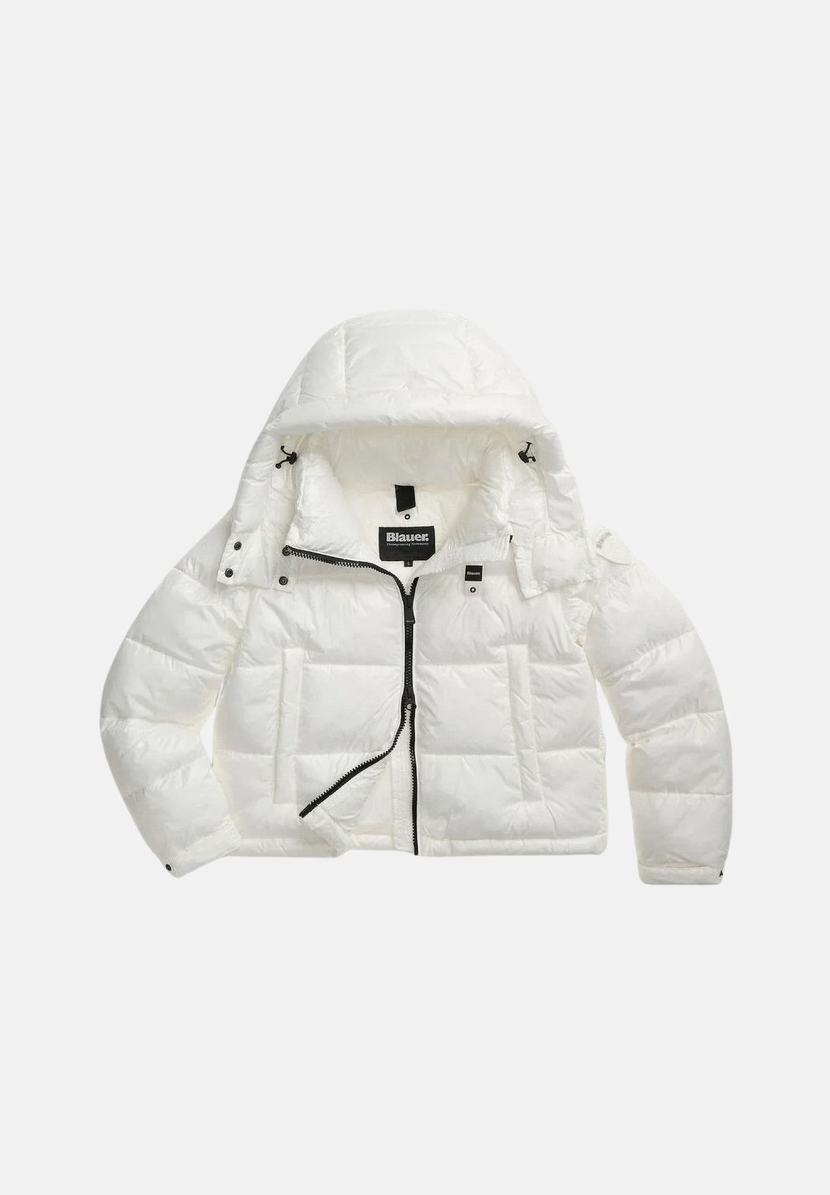 26WBLDC02071-006648 100BI BLAUER
