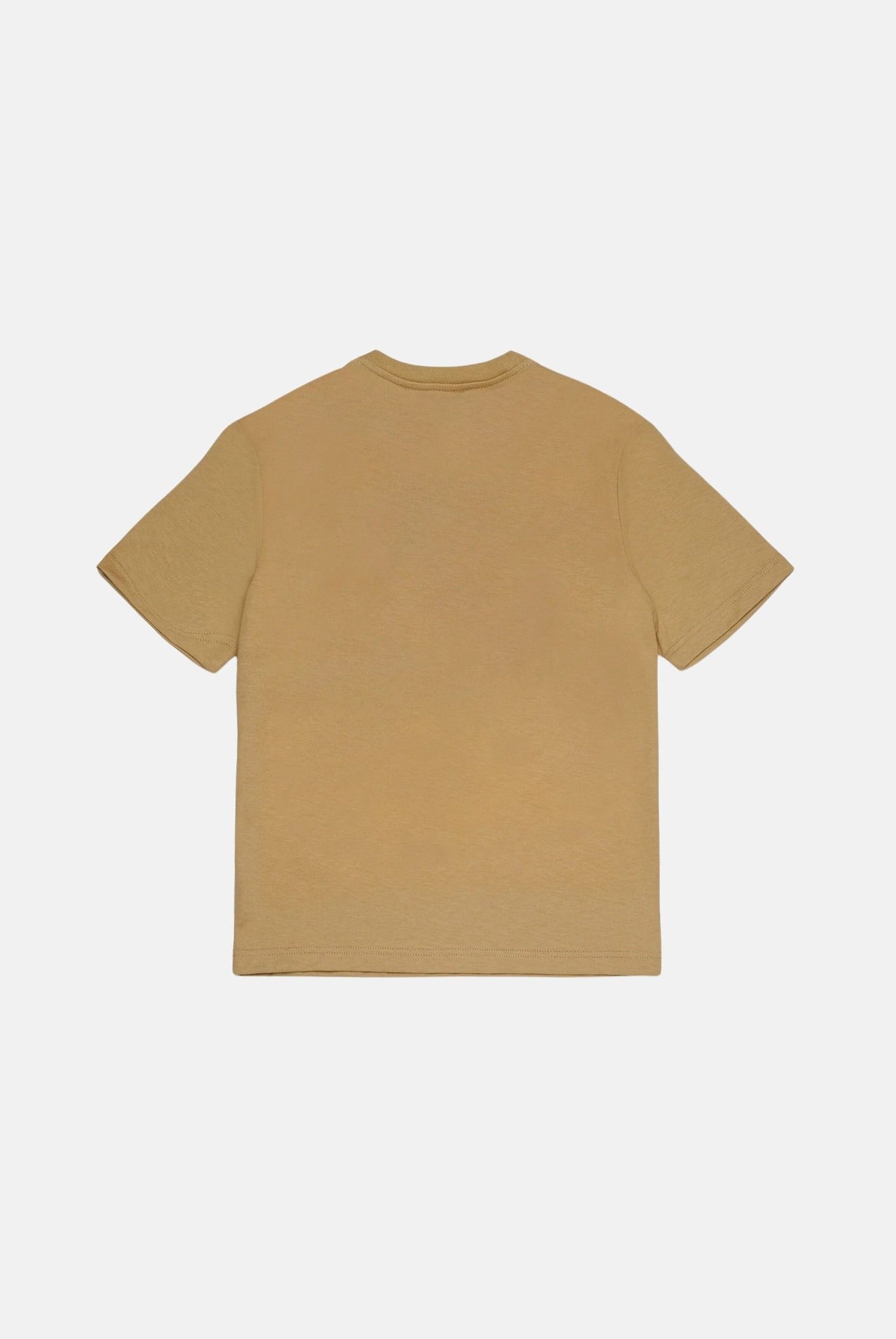 DSQUARED2 T-shirt lark, colore basico beige sabbia, per donna, ragazzi e bambini con stampa grafica frontale DQ3419D0AIQ DQ776 DSQUARED2
