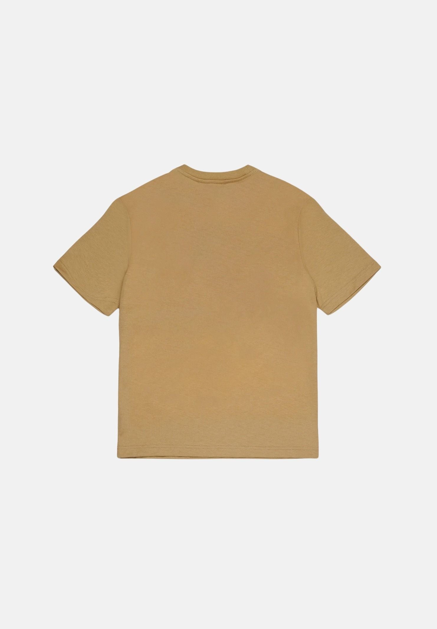 DSQUARED2 T-shirt lark, colore basico beige sabbia, per donna, ragazzi e bambini con stampa grafica frontale DQ3419D0AIQ DQ776 DSQUARED2