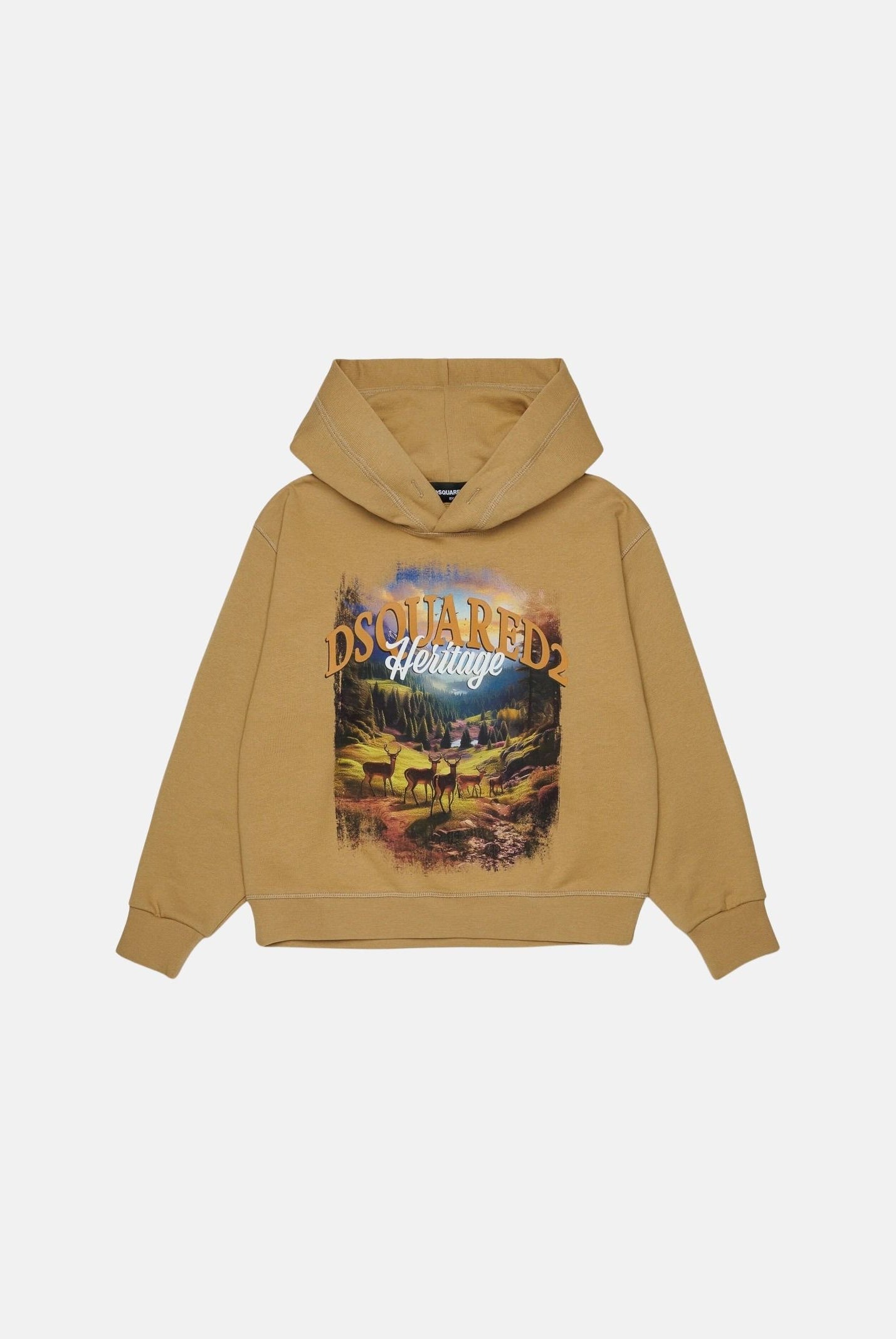 DSQUARED2 Felpa con cappuccio lark-beige per donna, ragazzi e bambini con stampa paesaggio frontale DQ3420D0AIS DQ776 DSQUARED2