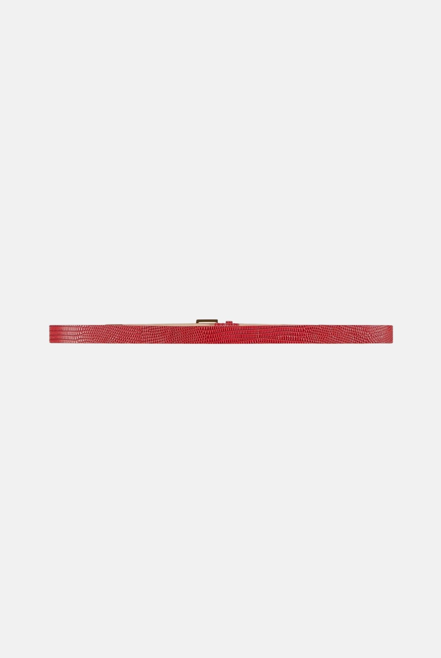 ELISABETTA FRANCHI Cintura LEATHER BELT colore Red Passion, rosso, da donna con stampa effetto lucertola. CT54S66E2 CG5 ELISABETTA FRANCHI