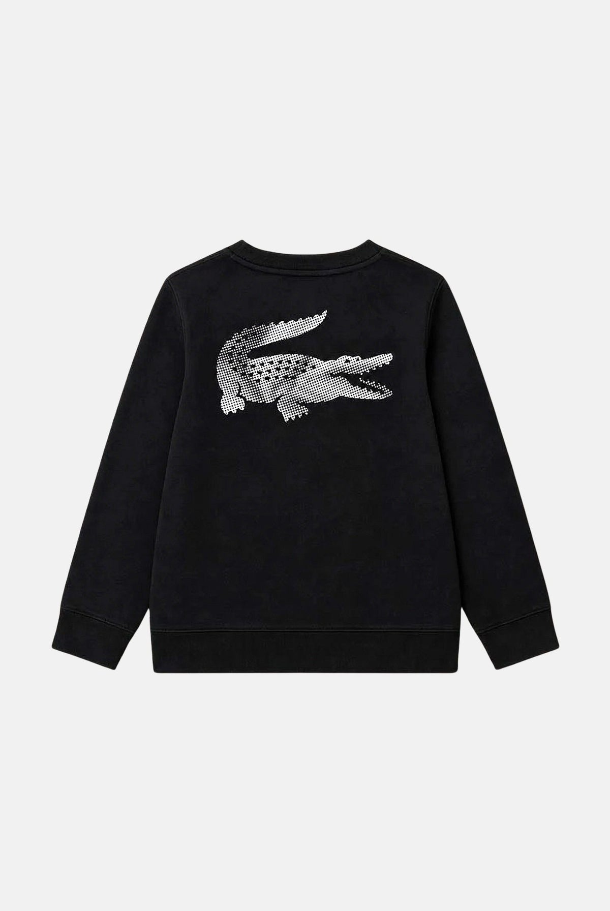 LACOSTE Felpa girocollo grigia e nera per bambino e bambina con maniche raglan e logo ricamato 847668 K96 LACOSTE