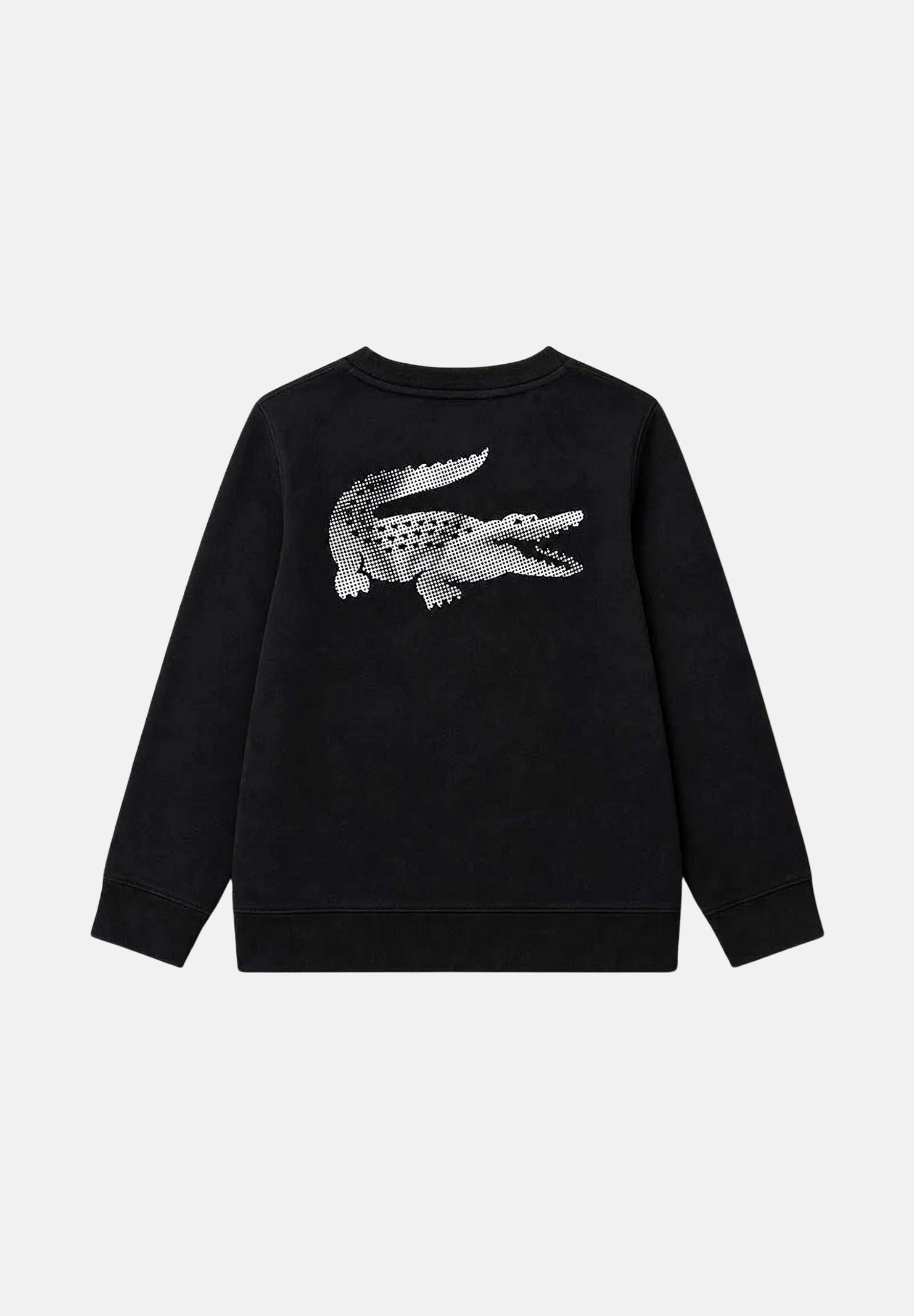 847668 K96 LACOSTE