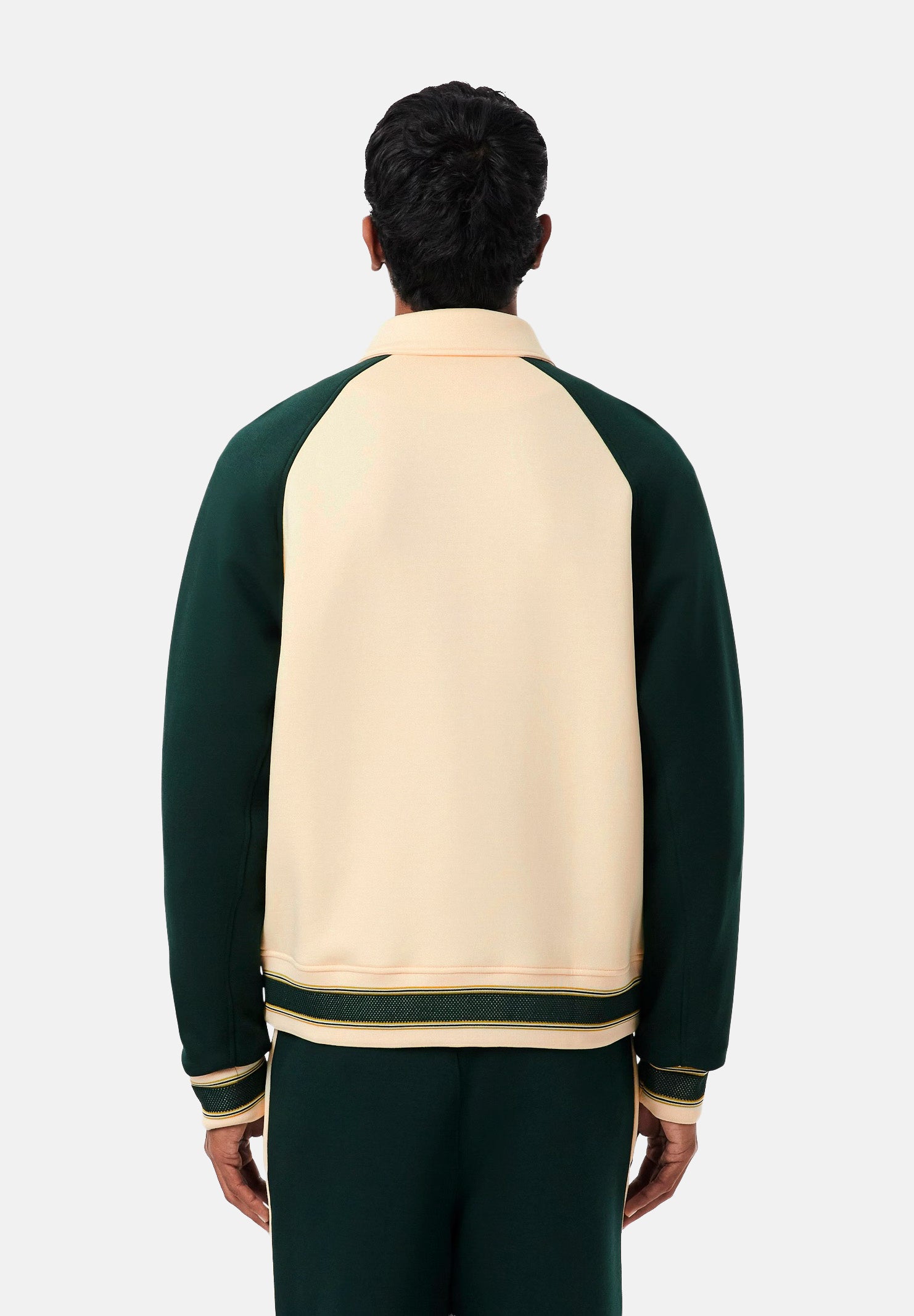 Bomber regular fit da uomo autunno inverno BH8614 ZDL LACOSTE