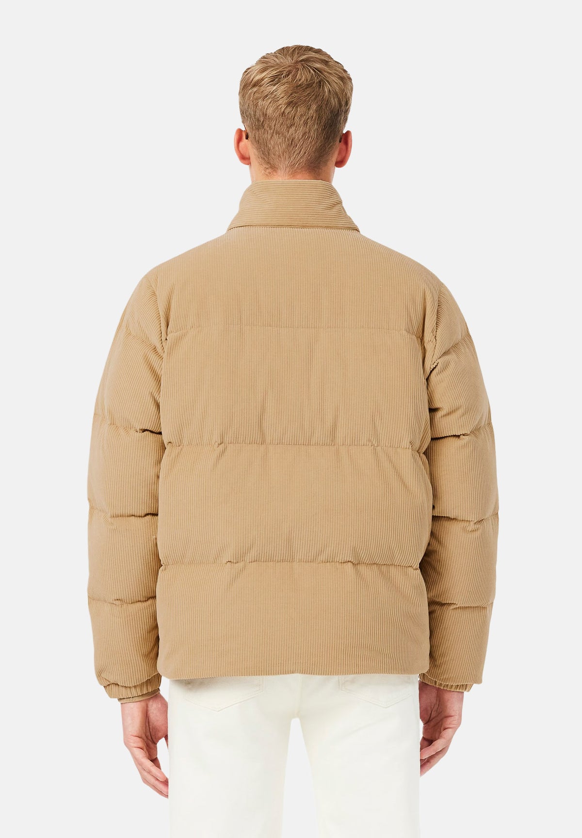 BH8701 02S LACOSTE