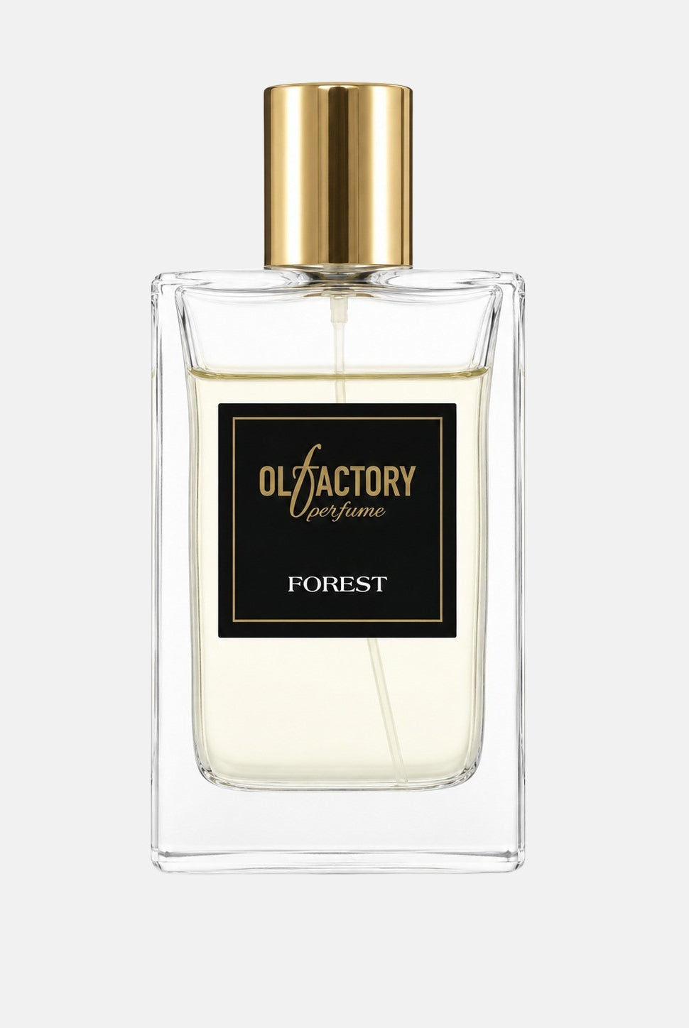 Profumo 100ml autunno inverno FOREST . SHERAZADE
