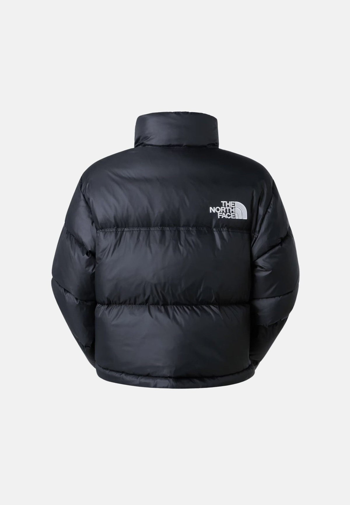 NF0A5GGEGOG1 . THE NORTH FACE