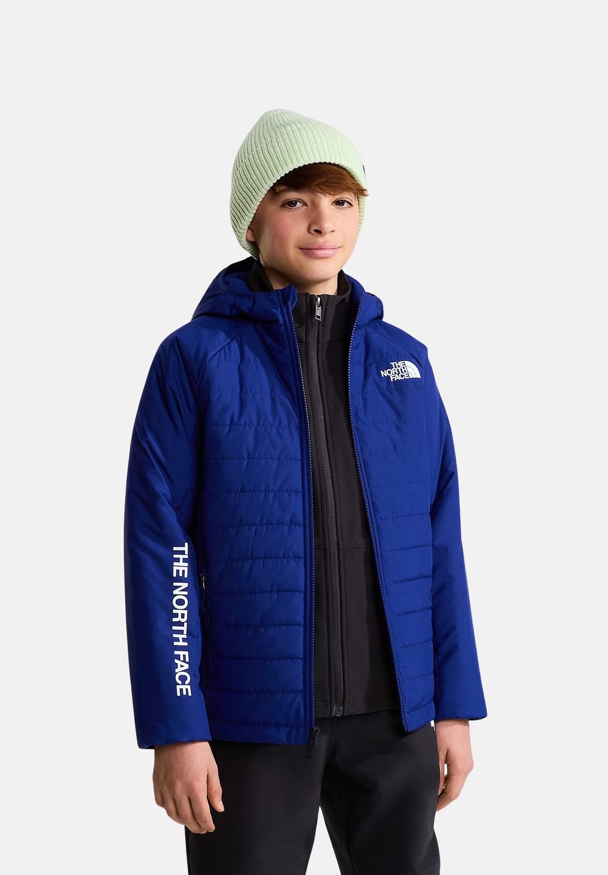 NF0A89HRNLV1 . THE NORTH FACE