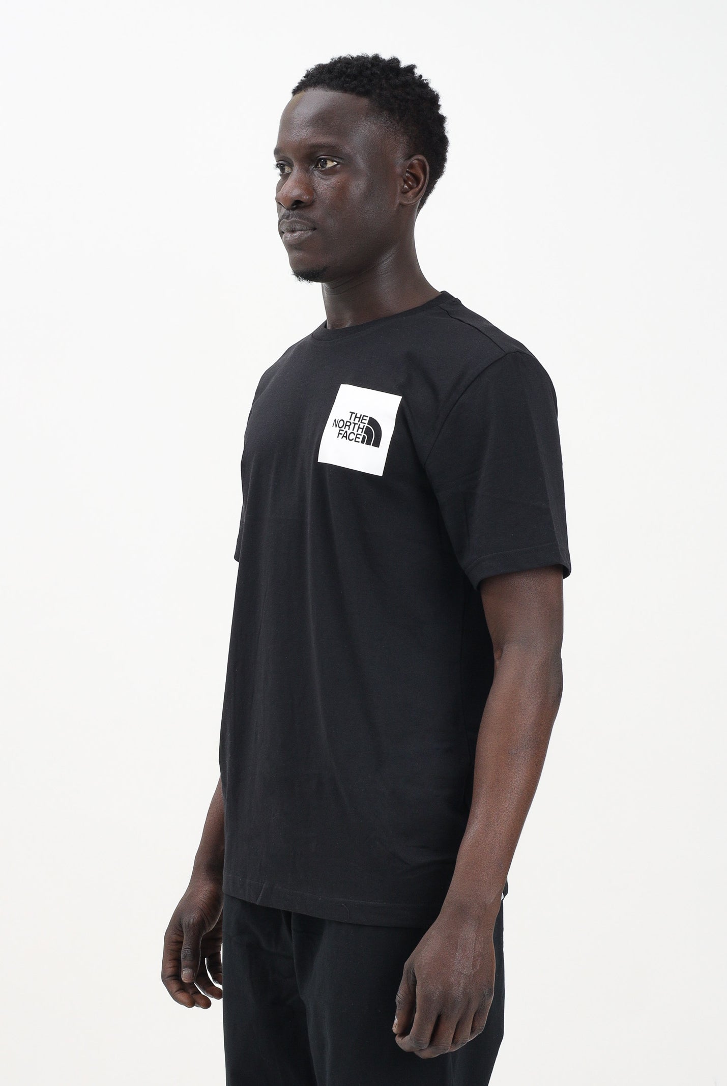 THE NORTH FACE T-shirt a manica corta Fine nera da uomo NF0A8A6MJK31 . THE NORTH FACE