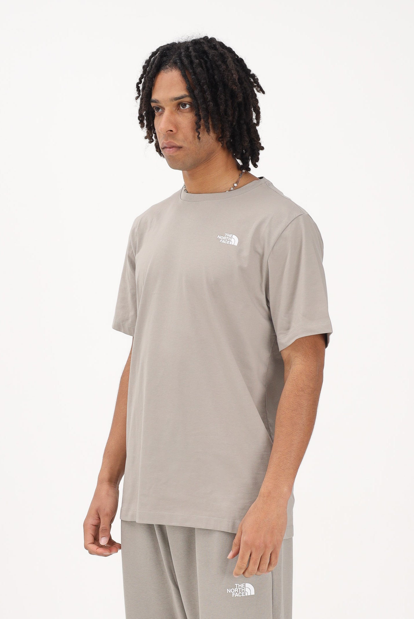 THE NORTH FACE T-shirt a manica corta Evolution Simple Dome Regular fango da uomo NF0A8CZ22MB1 . THE NORTH FACE