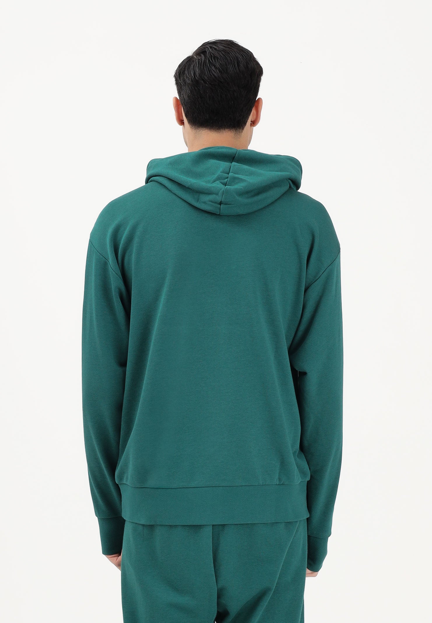 ADIDAS PERFORMANCE Felpa con cappuccio Essentials Big Logo verde da uomo JE8896 . ADIDAS PERFORMANCE