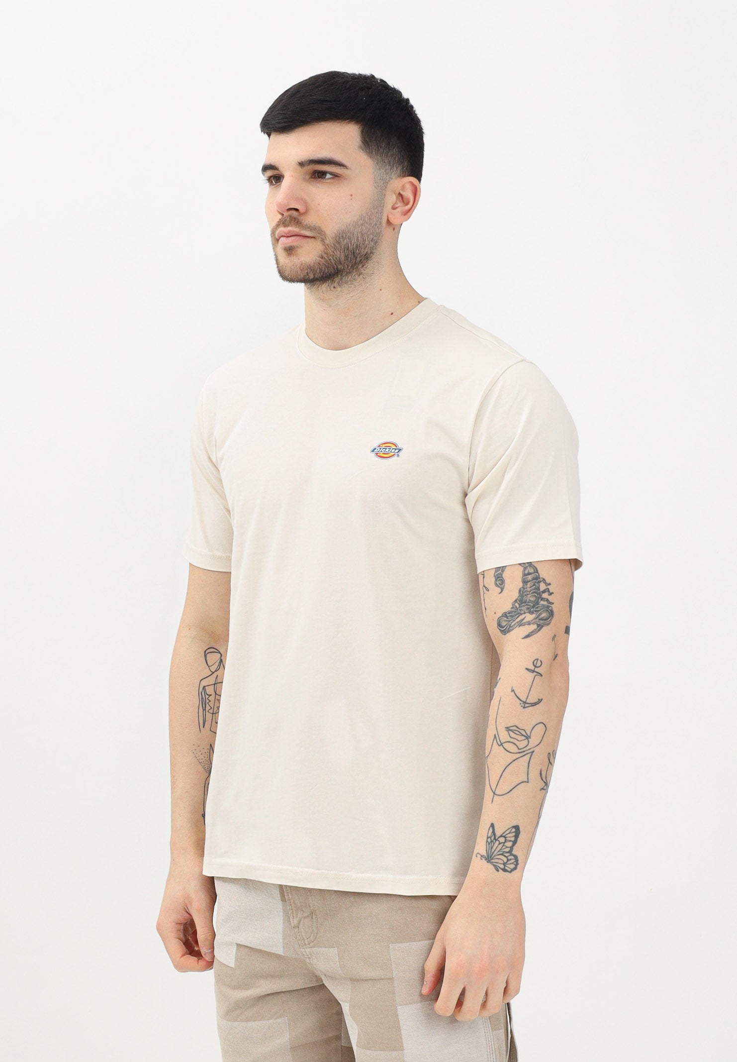 DICKIES T-shirt a manica corta Mapleton beige da uomo DK0A4XDBF901 . DIckies
