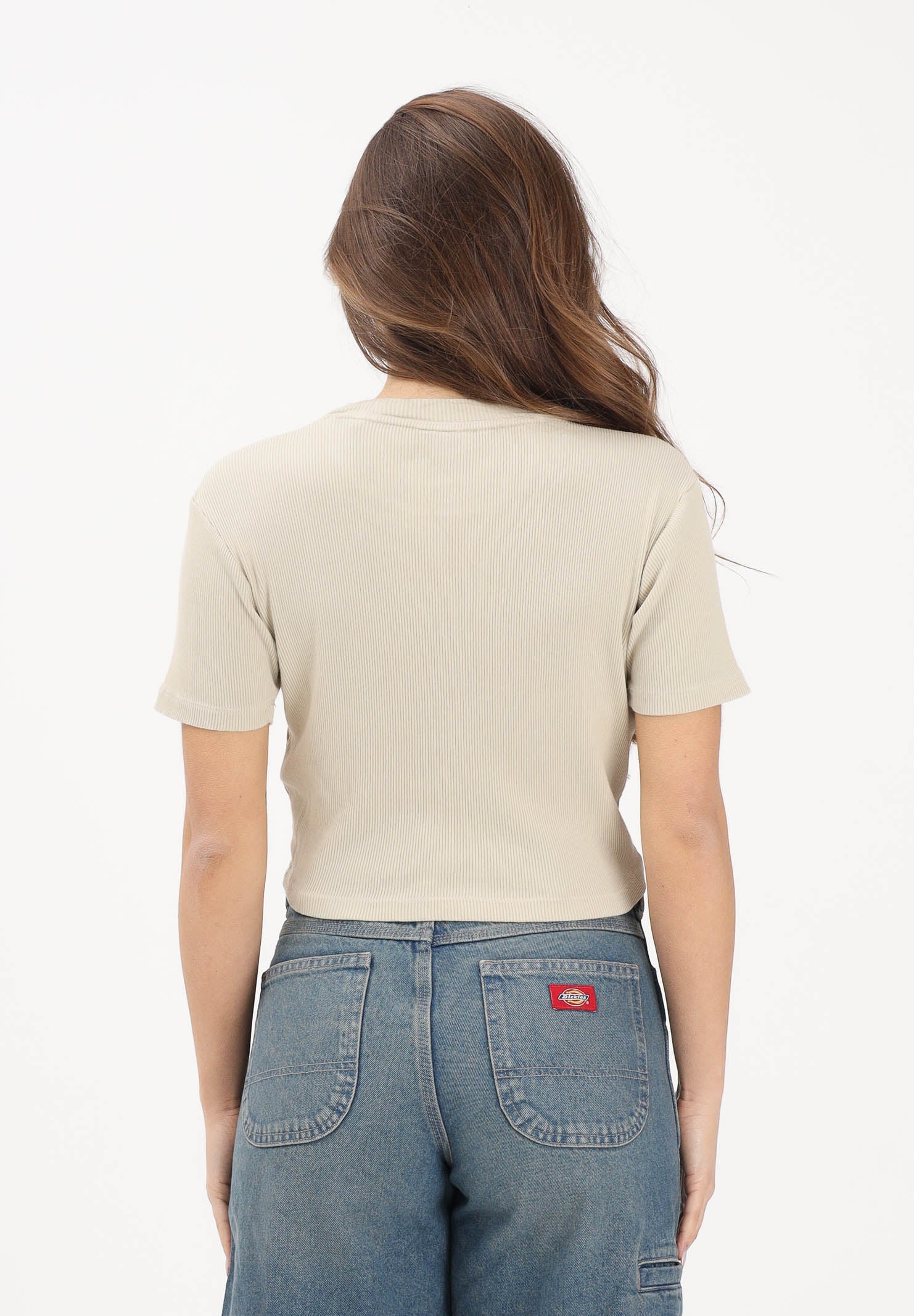 DICKIES T-shirt a manica corta Plentywood beige da donna DK0A866FL441 . DIckies