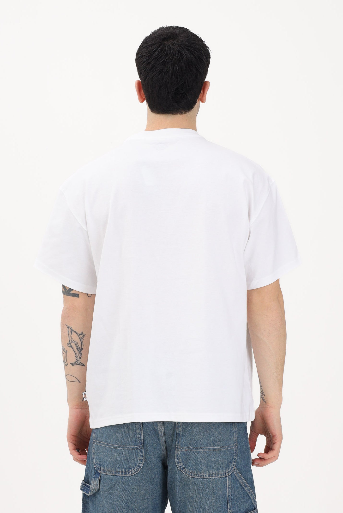 DICKIES T-shirt a manica corta Rarden bianca da uomo DK0A88850WH1 . DIckies