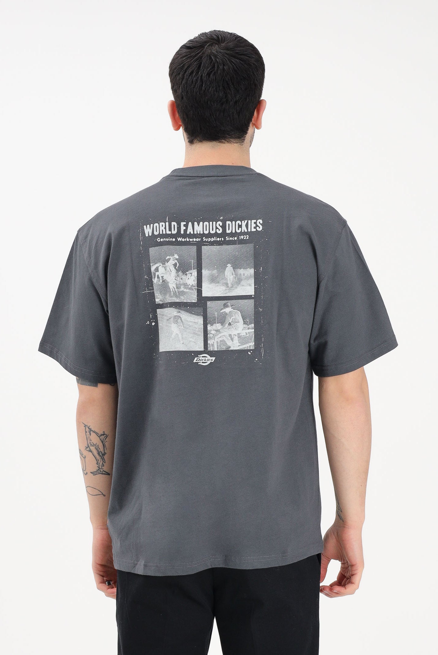 DICKIES T-shirt a manica corta Wolfhurst grigia da uomo DK0A88QOCH01 . DIckies