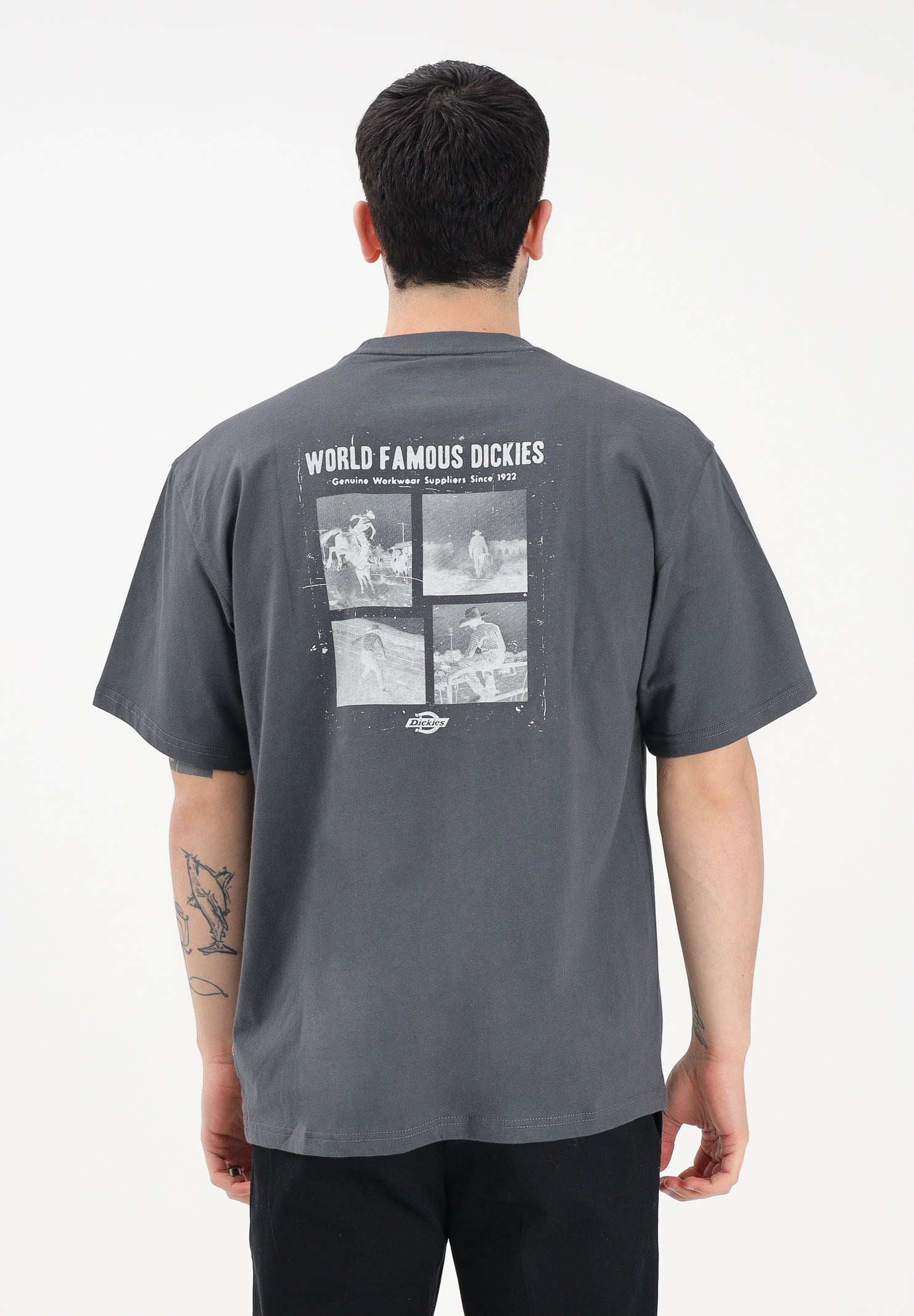 DICKIES T-shirt a manica corta Wolfhurst grigia da uomo DK0A88QOCH01 . DIckies