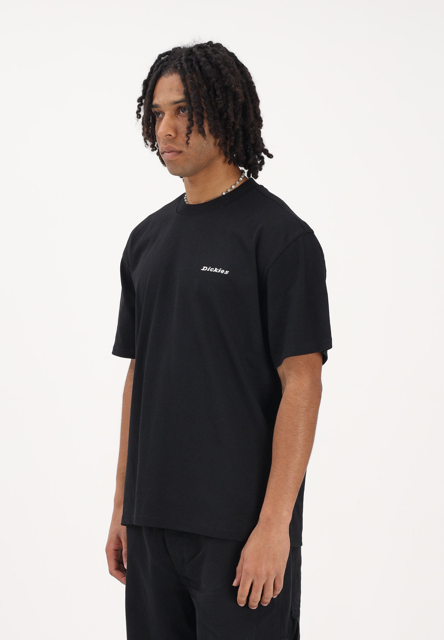 DICKIES T-shirt a manica corta Loretto nera da uomo DK0A89ENBLK1 . DIckies