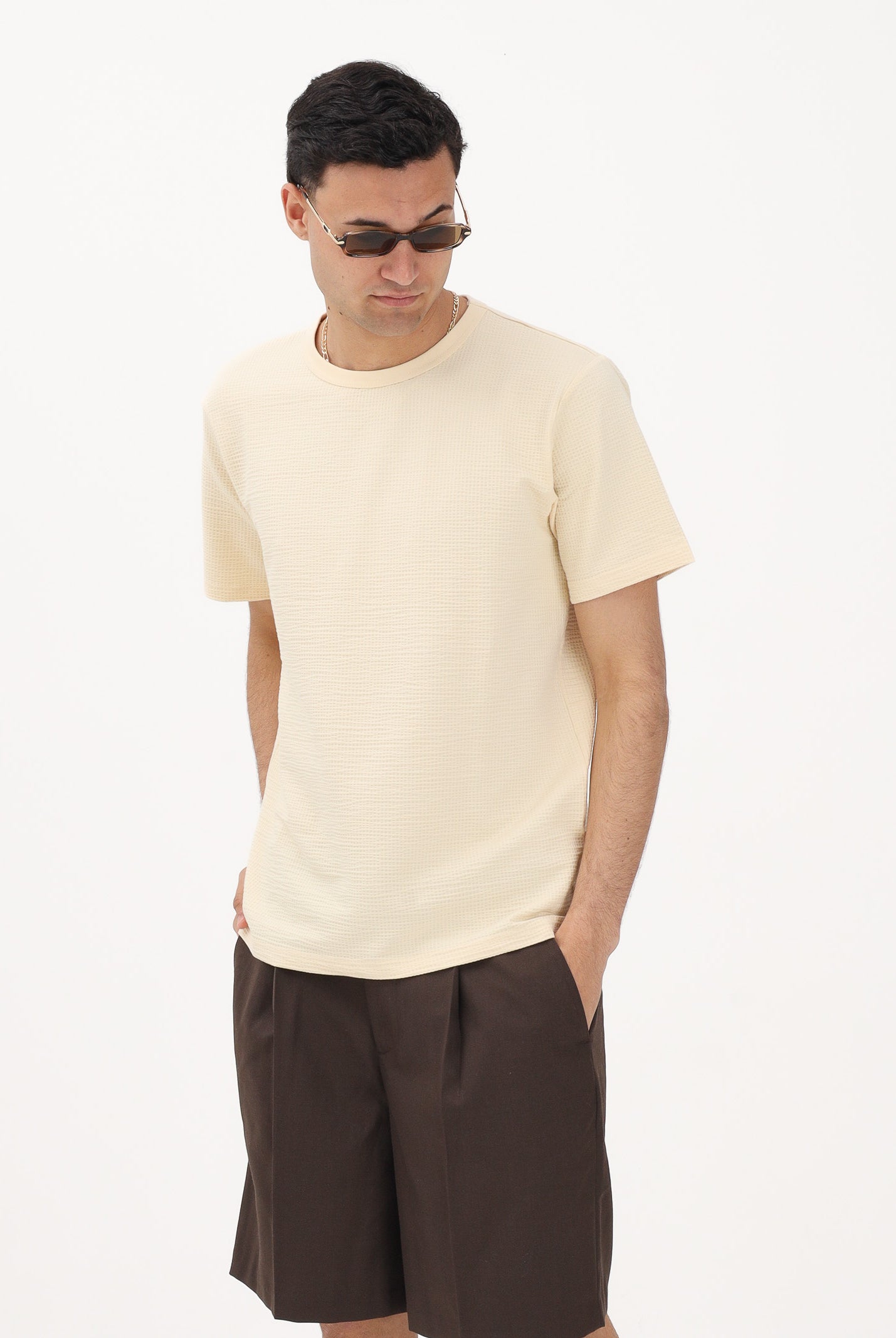 SELECTED HOMME T-shirt a manica corta crema da uomo con texture micro lavorata 16092769 AN SELECTED HOMME