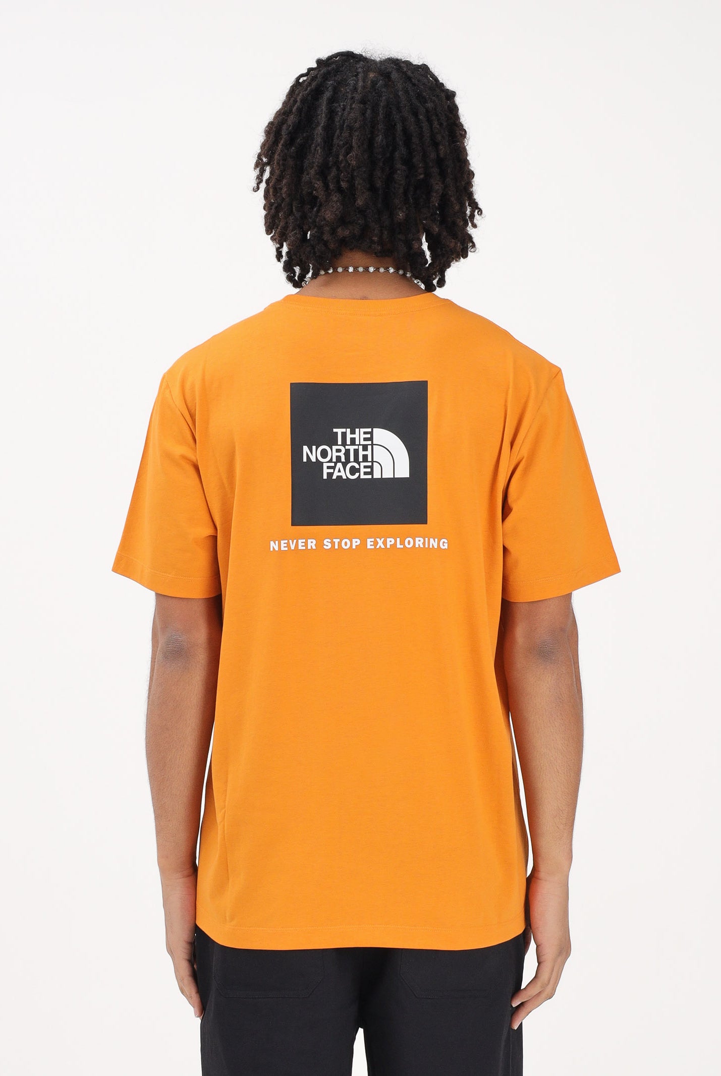 THE NORTH FACE T-shirt a manica corta Evolution NSE Box Regular arancione da uomo NF0A8B6KG5I1 . THE NORTH FACE