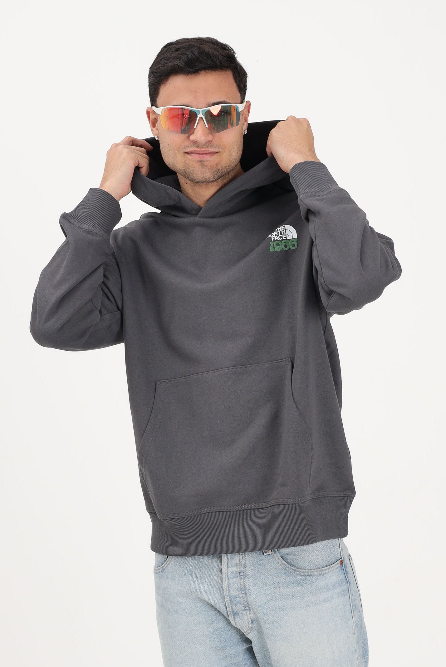 THE NORTH FACE Felpa con cappuccio 1966 Motion Relaxed grigia per uomo e donna NF0A8GAJRHI1 . THE NORTH FACE