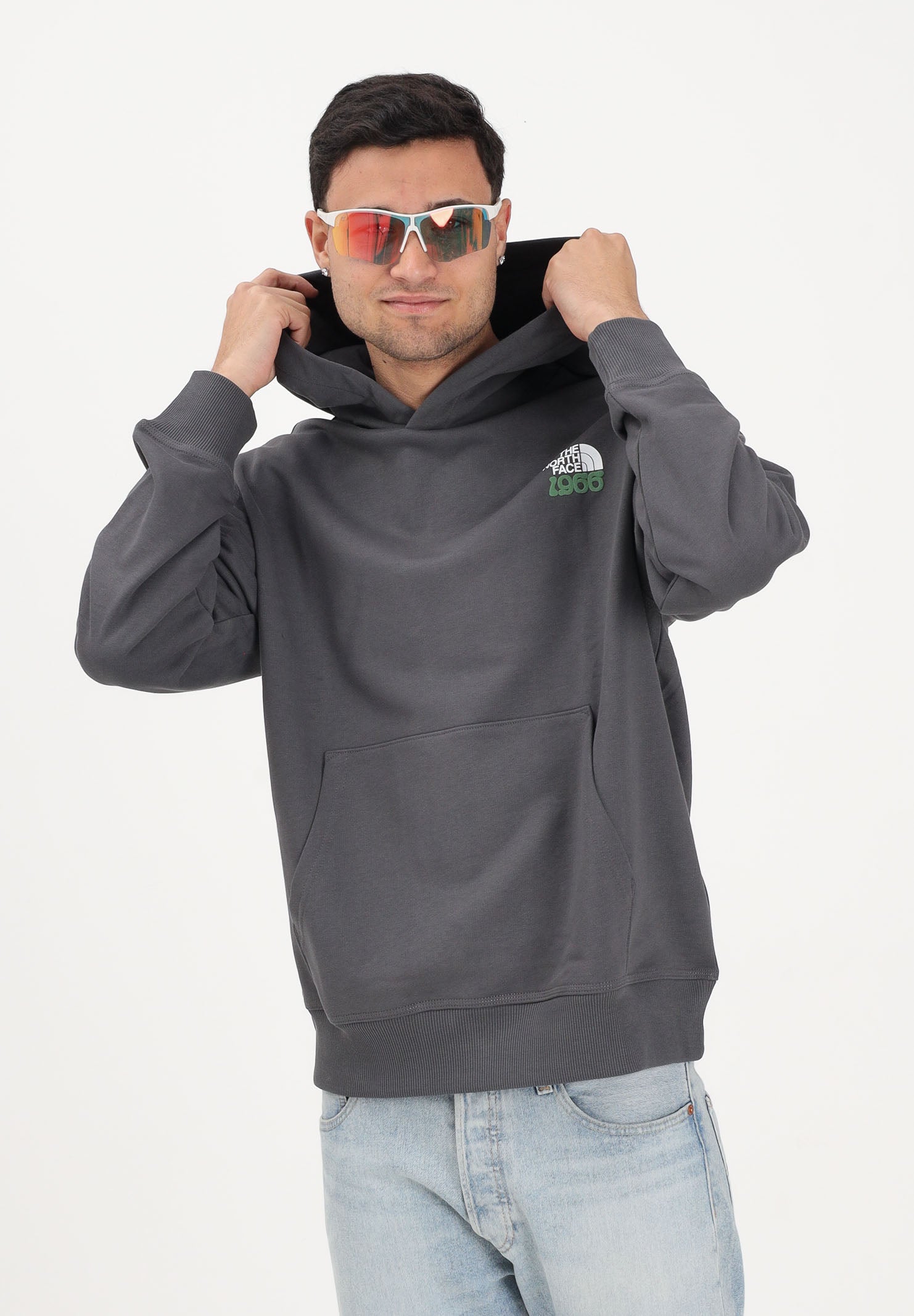 THE NORTH FACE Felpa con cappuccio 1966 Motion Relaxed grigia per uomo e donna NF0A8GAJRHI1 . THE NORTH FACE