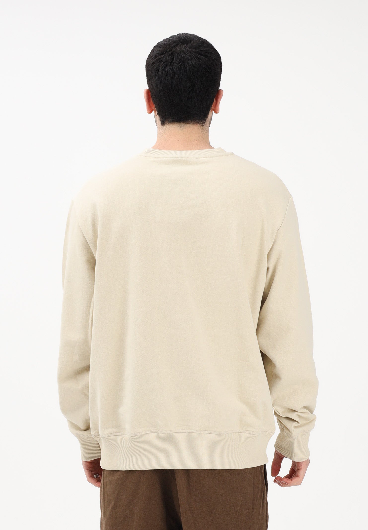 THE NORTH FACE Felpa girocollo Essential Light Relaxed beige da uomo NF0A8GQCDOM1 . THE NORTH FACE