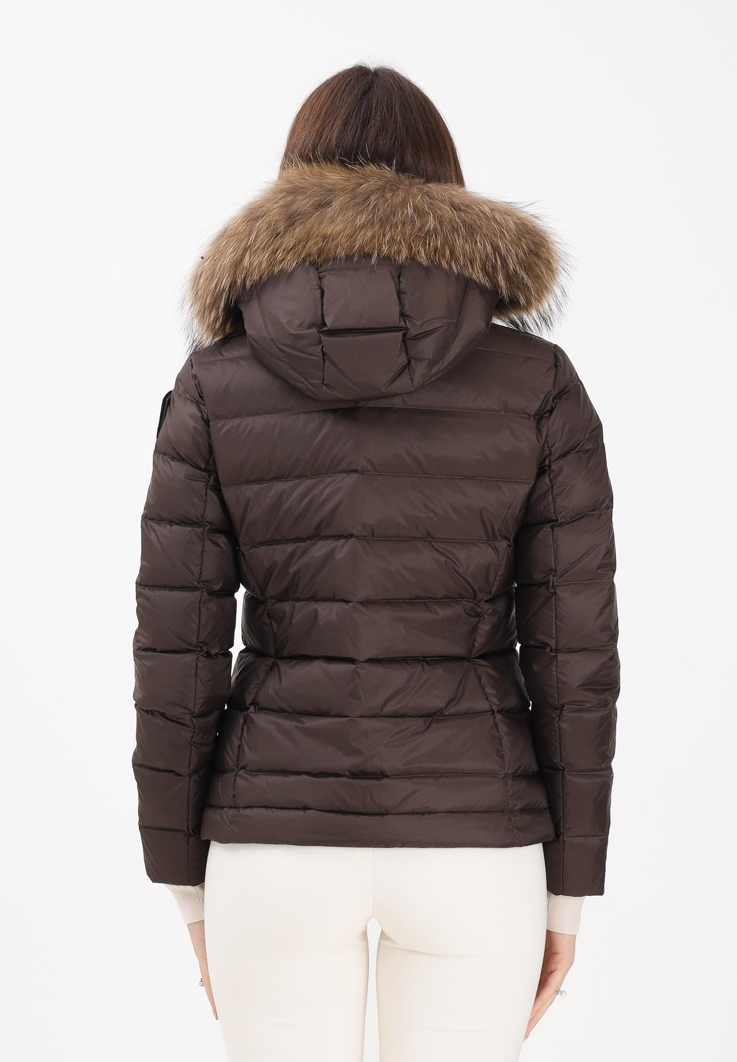 BLAUER Piumino ARCADIA marrone da donna 25WBLDC03099-A06047 365EI BLAUER