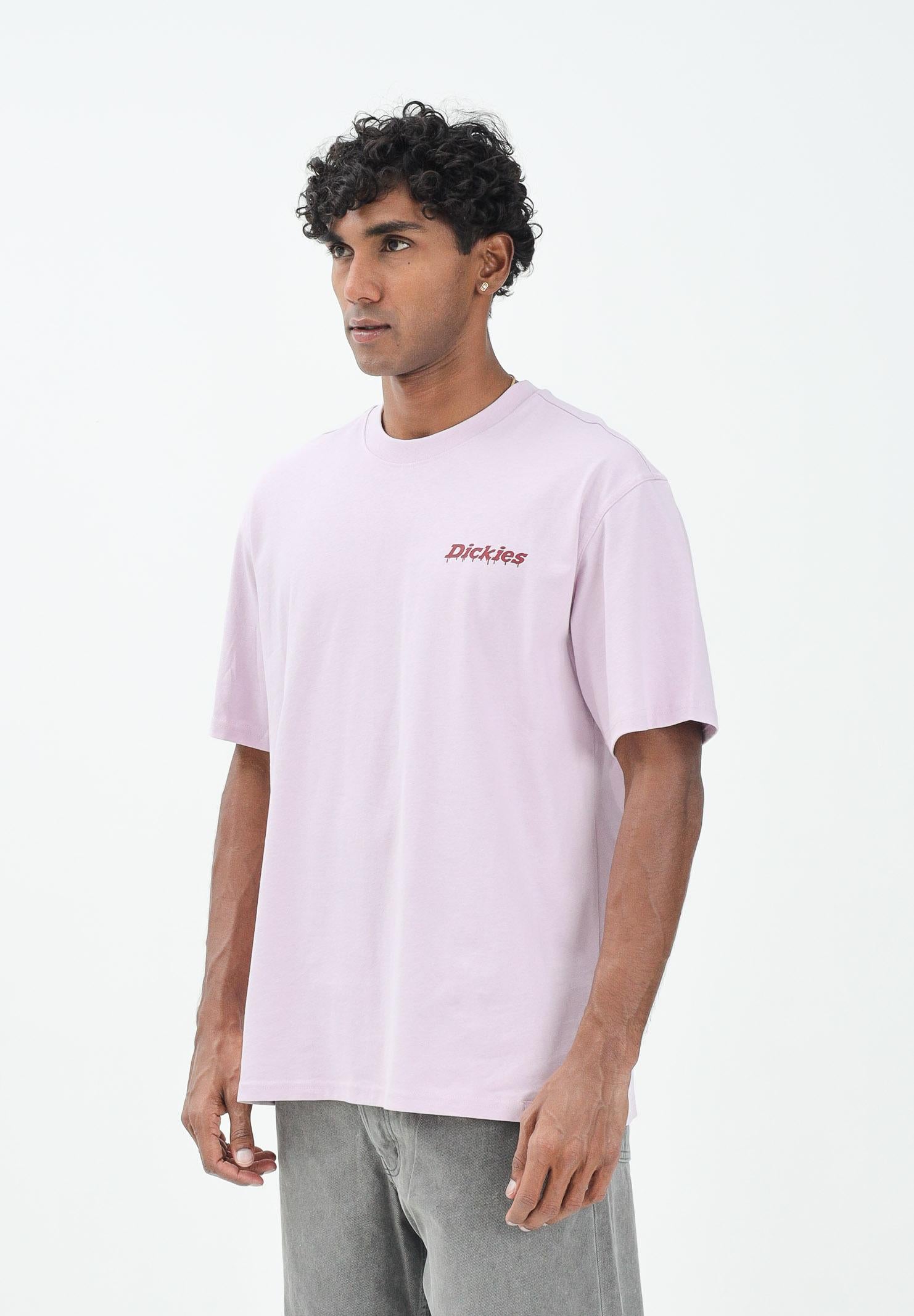DICKIES T-shirt a maniche corte Statesville lilla da uomo DK0A87QPK731 DIckies