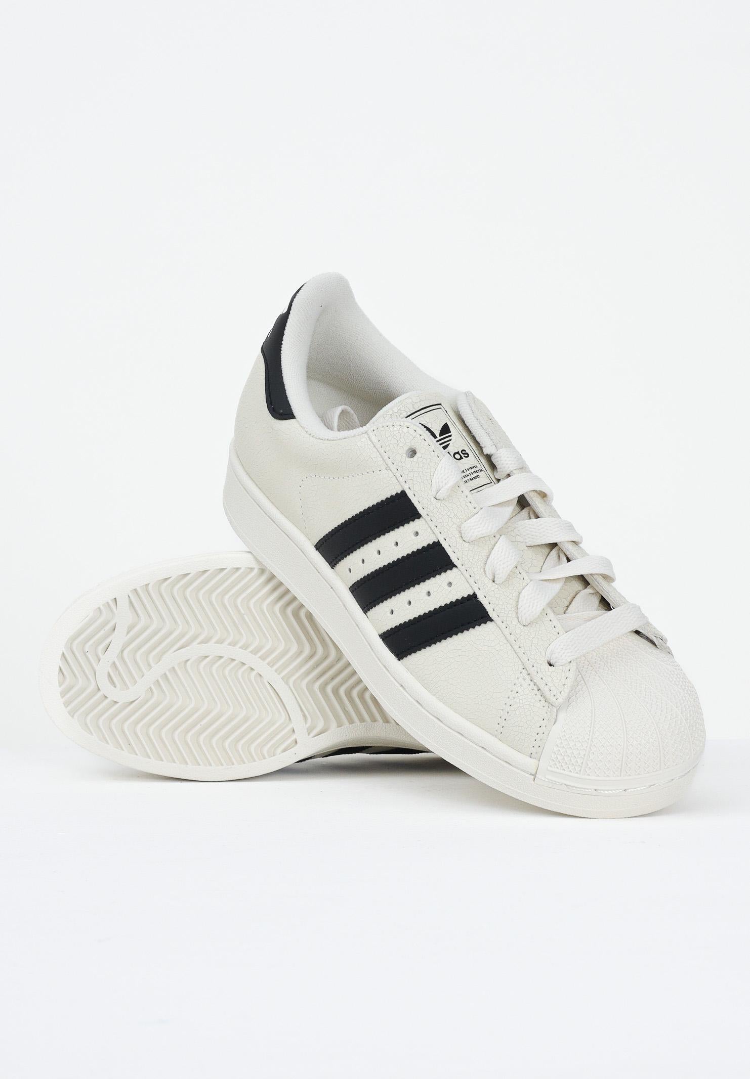 ADIDAS ORIGINALS Sneakers SUPERSTAR II panna per uomo e donna JS4013 . ADIDAS ORIGINALS