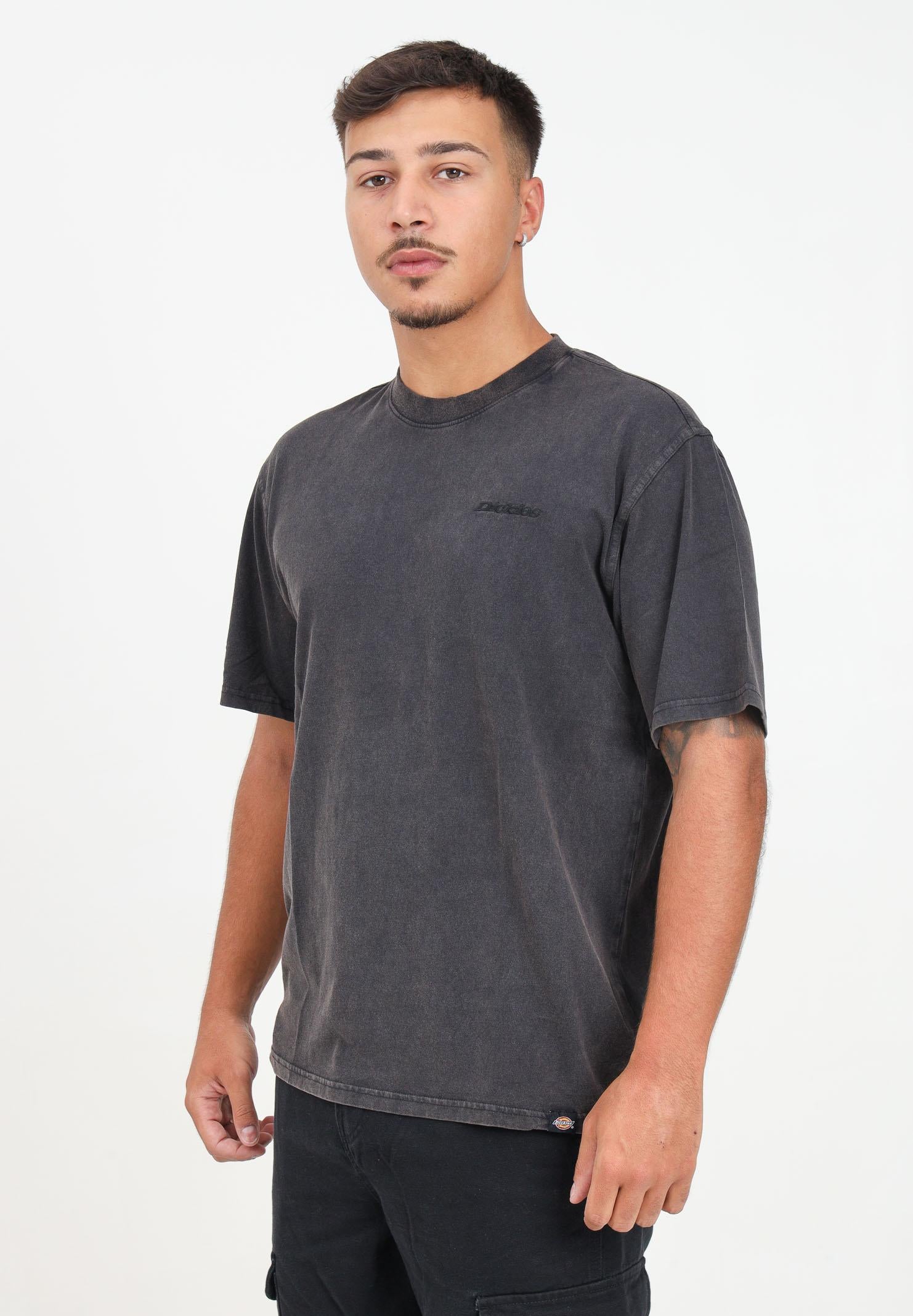 DICKIES T-shirt a manica corta Plentywood grigia da uomo DK0A866BH861 DIckies