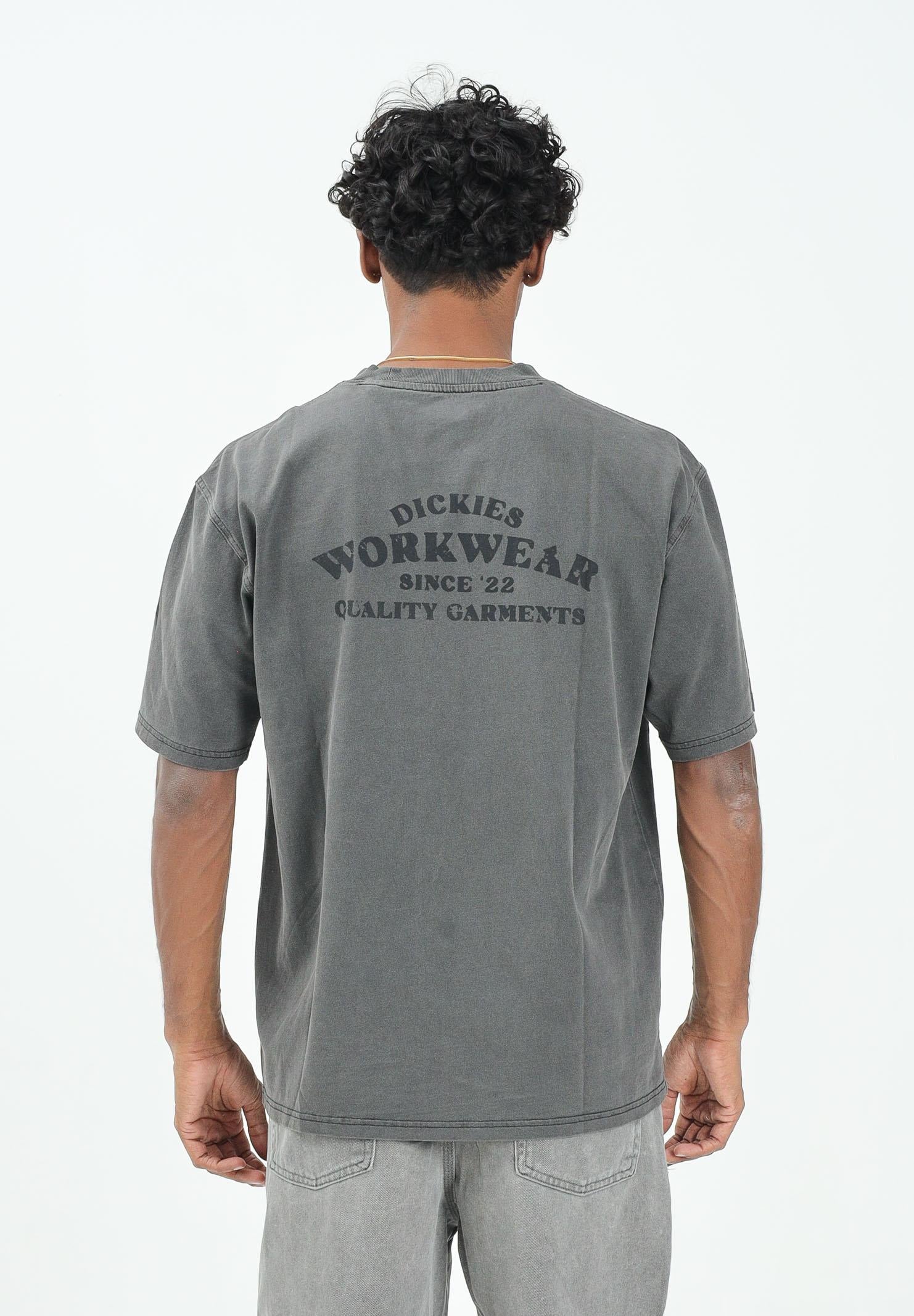 DICKIES T-shirt a manica corta Christiana grigia da uomo DK0A87QHBLK1 . DIckies