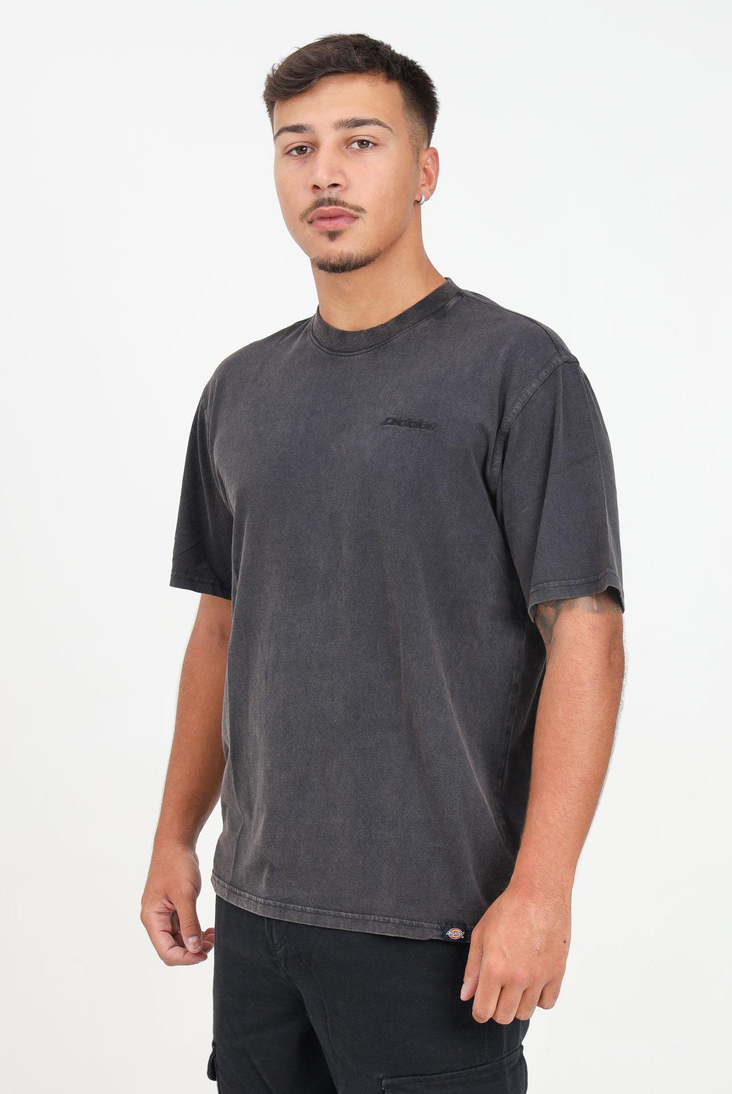 DICKIES T-shirt a manica corta Plentywood grigia da uomo DK0A866BH861 . DIckies