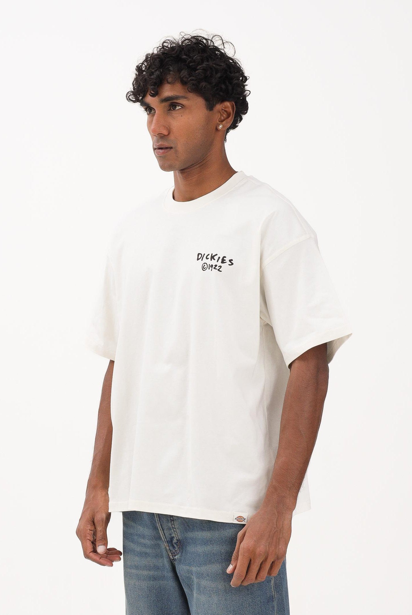 DICKIES SNEEDVILLE t-shirt a maniche corte panna da uomo con stampa graffito sul petto e sul retro DK0A87QOC481 DIckies