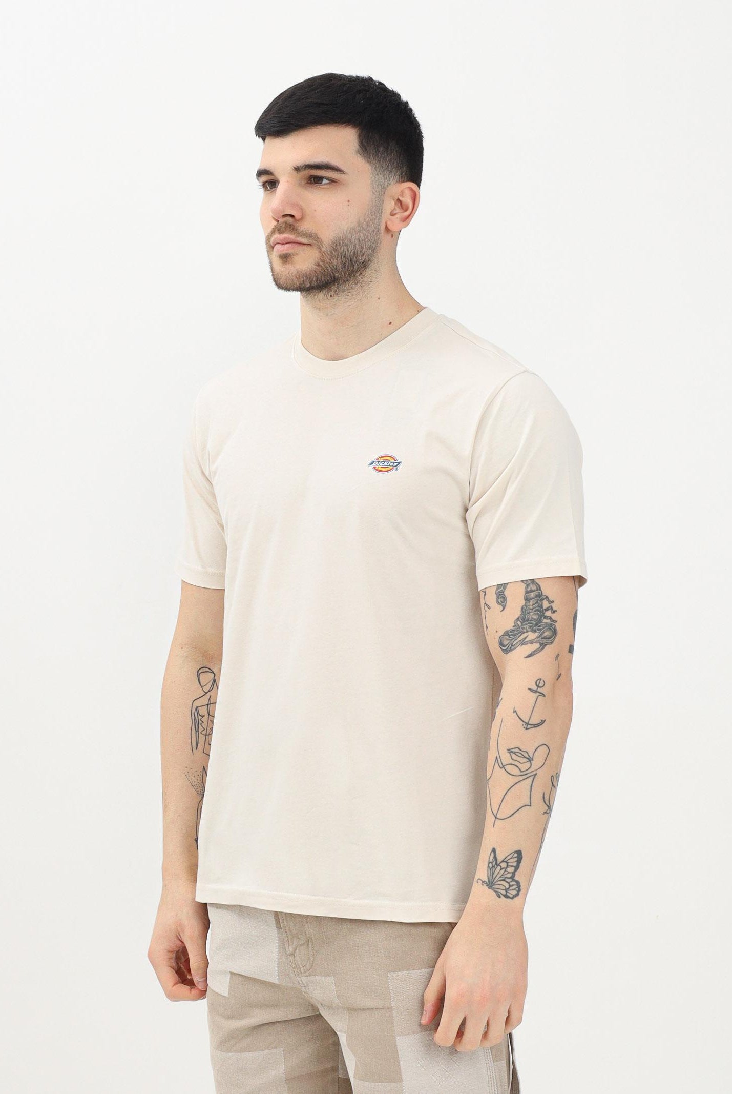 DICKIES T-shirt a manica corta Mapleton beige da uomo DK0A4XDBF901 . DIckies