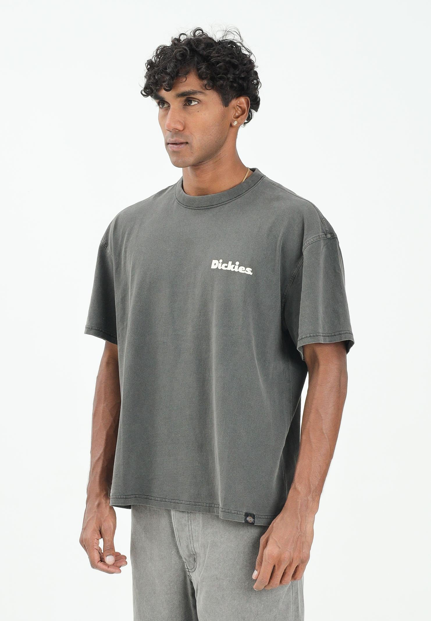 DICKIES SLAYDEN GD t-shirt a manica corta da uomo nera con stampa panna. DK0A87QRBLK1 . DIckies