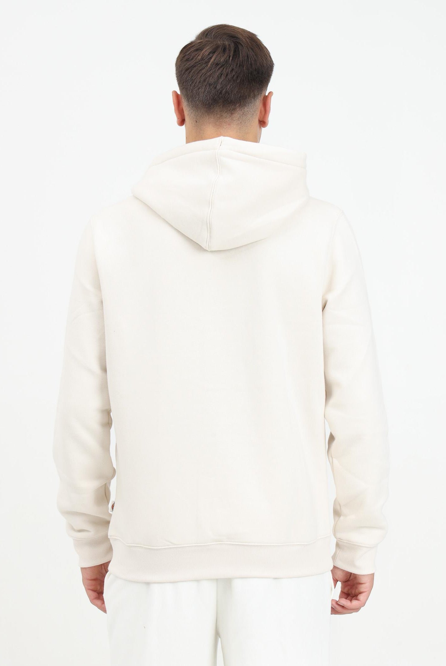 DICKIES Felpa con cappuccio Oakport panna da uomo DK0A4XCDF901 DIckies