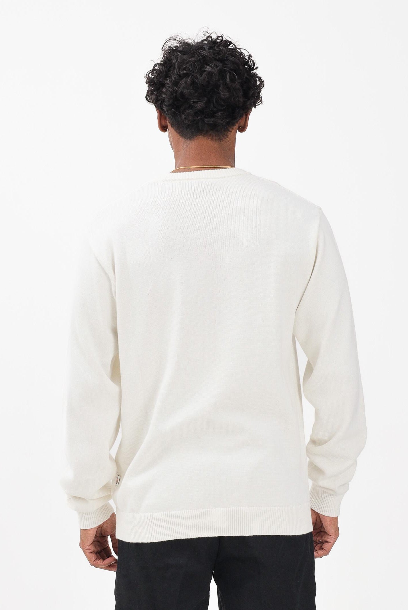 DICKIES Maglione girocollo Summerdale panna da uomo DK0A87OPC481 DIckies