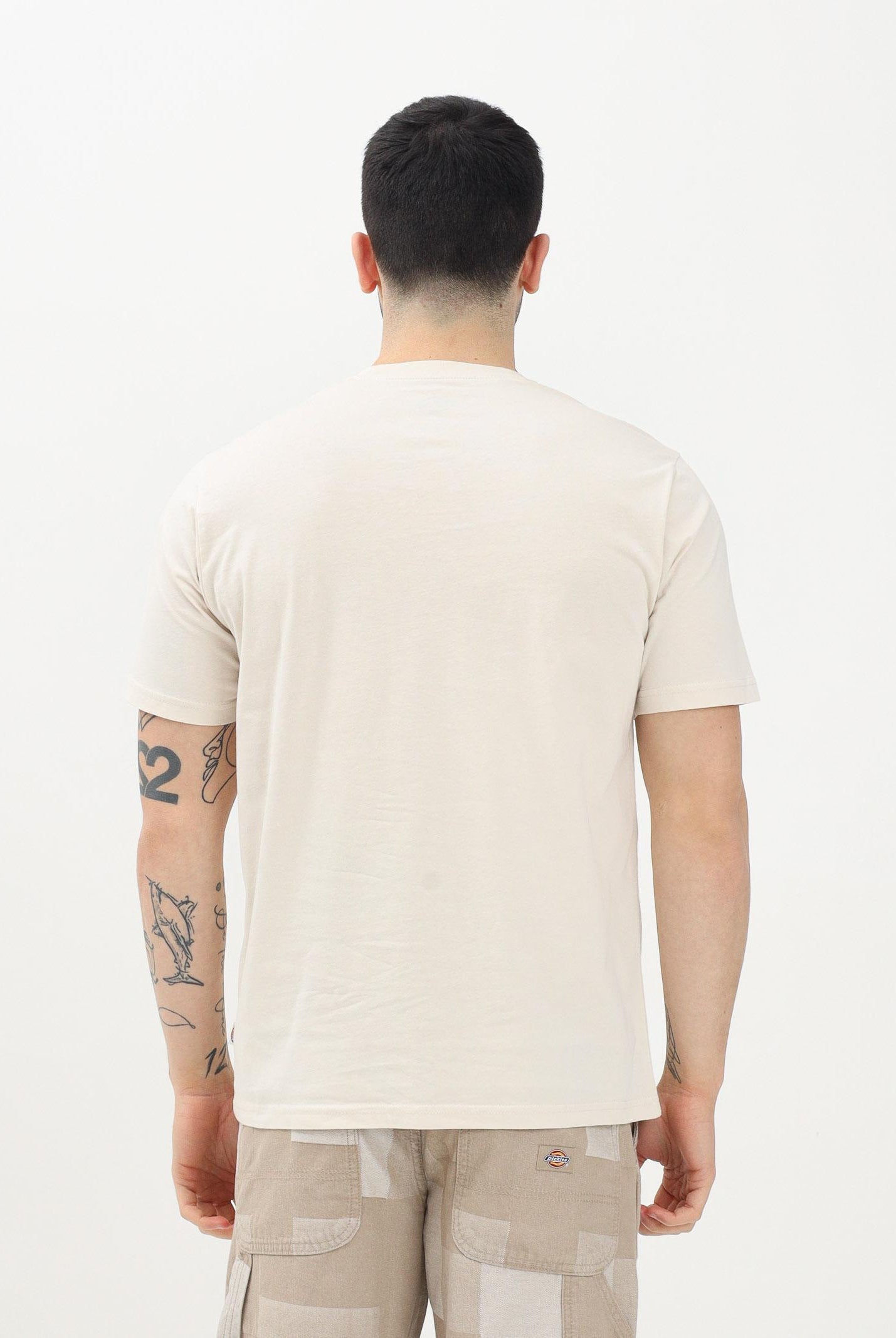 DICKIES T-shirt a manica corta Mapleton beige da uomo DK0A4XDBF901 . DIckies