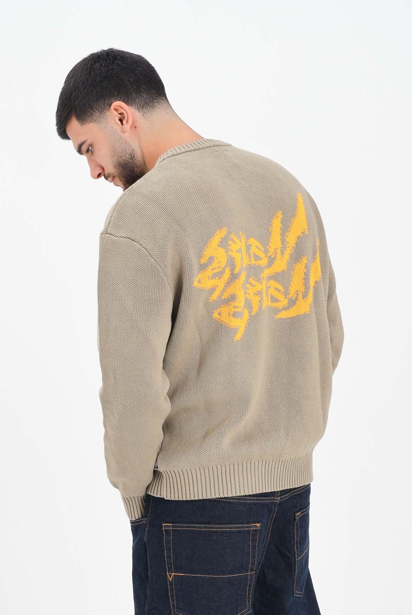VANS Maglioncino girocollo Raw Instinct Mirror beige da uomo VN000R92EMF1 . VANS