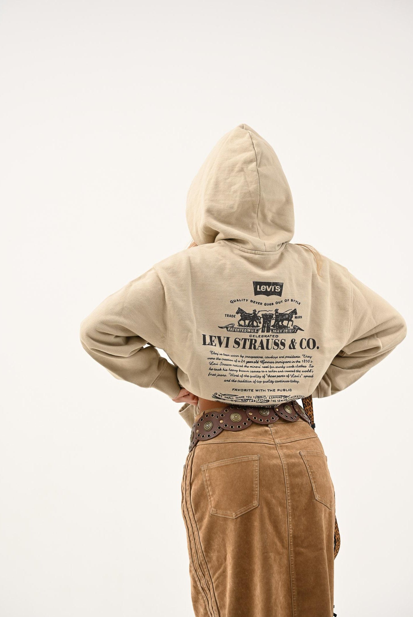 LEVI'S® Felpa con cappuccio beige da uomo rifinita da stampa sul retro 38479-0423 LEVI'S®