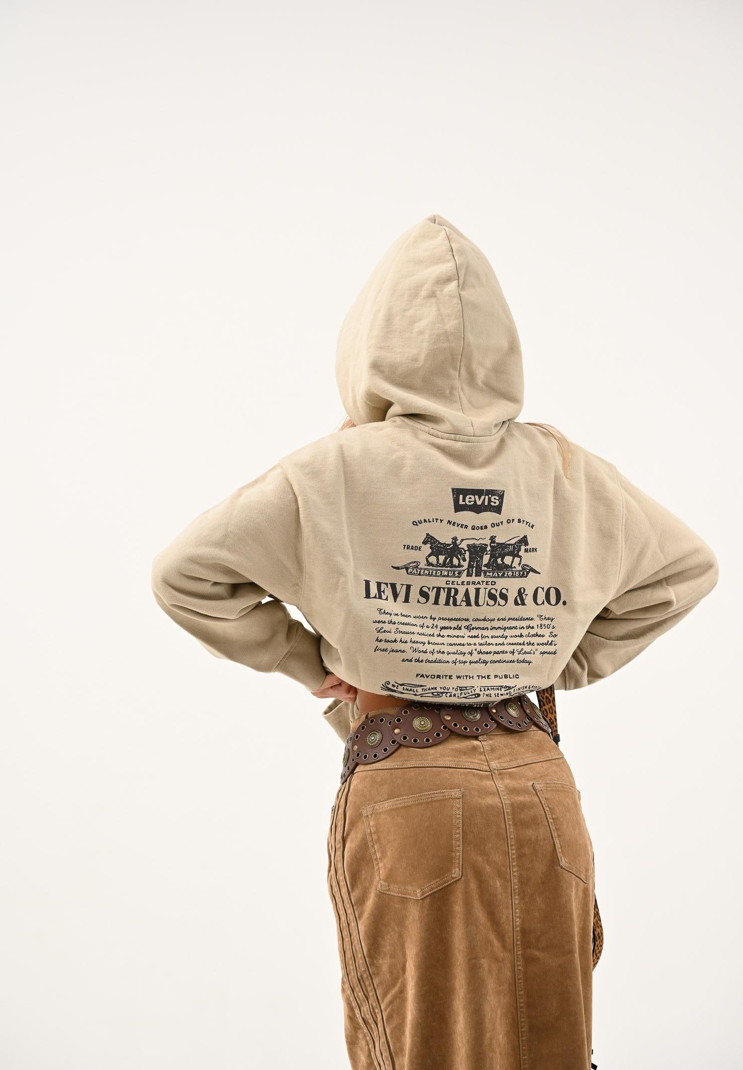 LEVI'S® Felpa con cappuccio beige da uomo rifinita da stampa sul retro 38479-0423 LEVI'S®