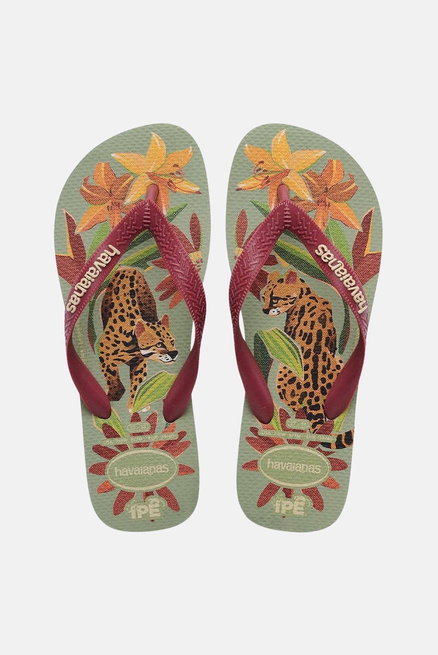 HAVAIANAS Infradito Ipe verdi per uomo e donna 4000396 1156 HAVAIANAS