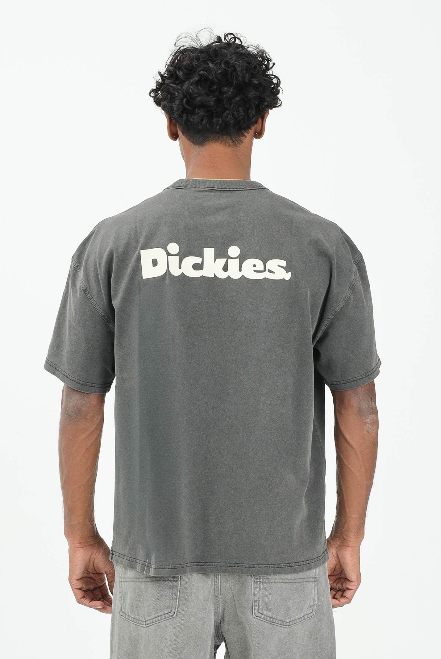 DICKIES SLAYDEN GD t-shirt a manica corta da uomo nera con stampa panna. DK0A87QRBLK1 DIckies