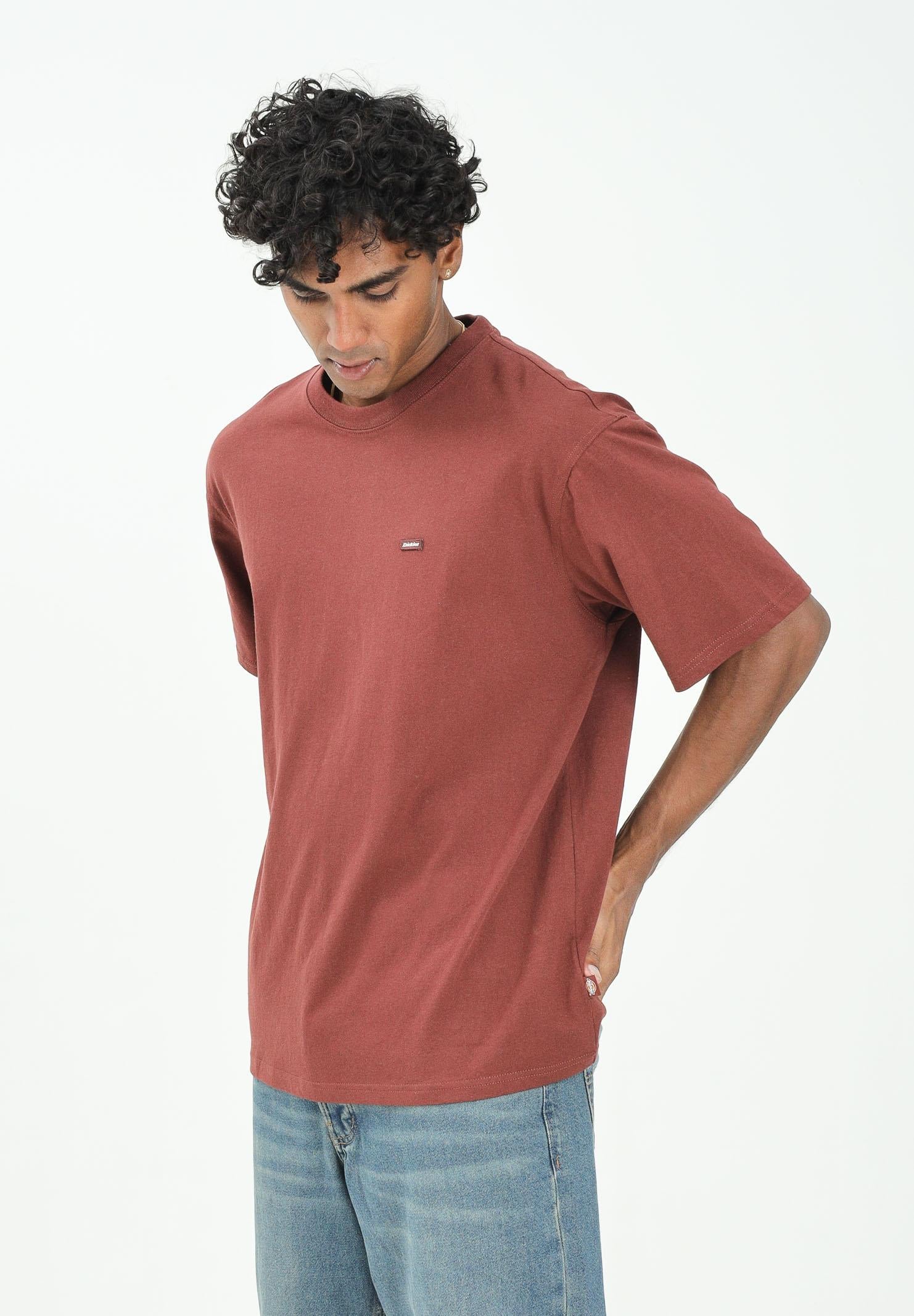 DICKIES T-shirt a manica corta Clancy bordeaux da uomo DK0A4Z4LL161 DIckies