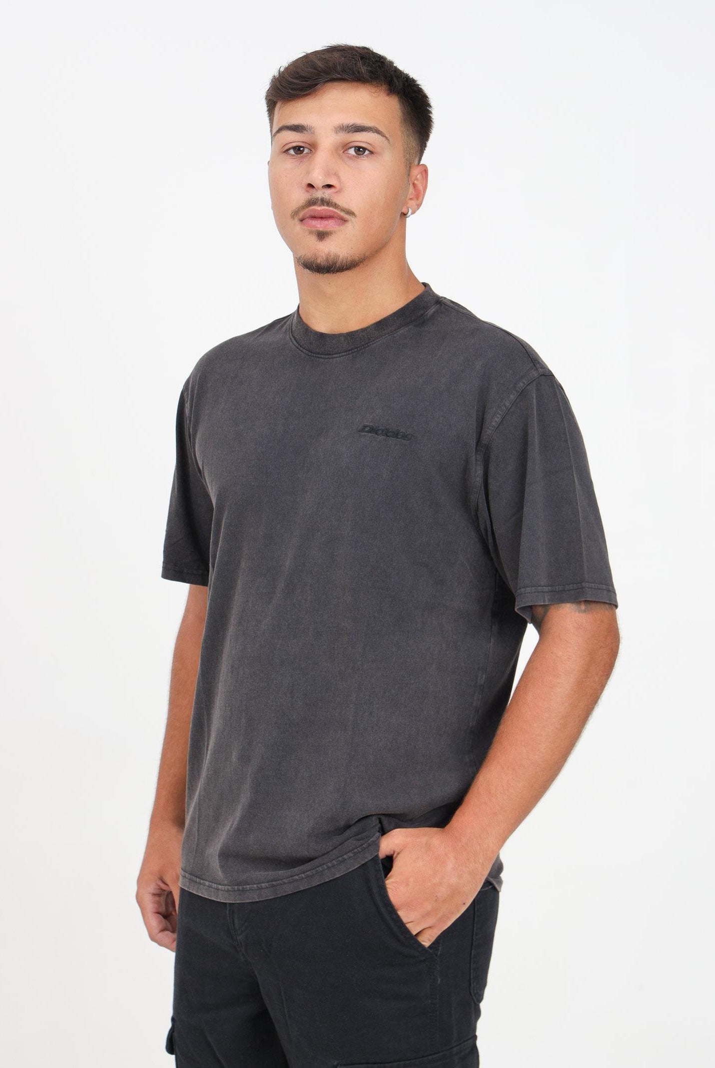 DICKIES T-shirt a manica corta Plentywood grigia da uomo DK0A866BH861 DIckies