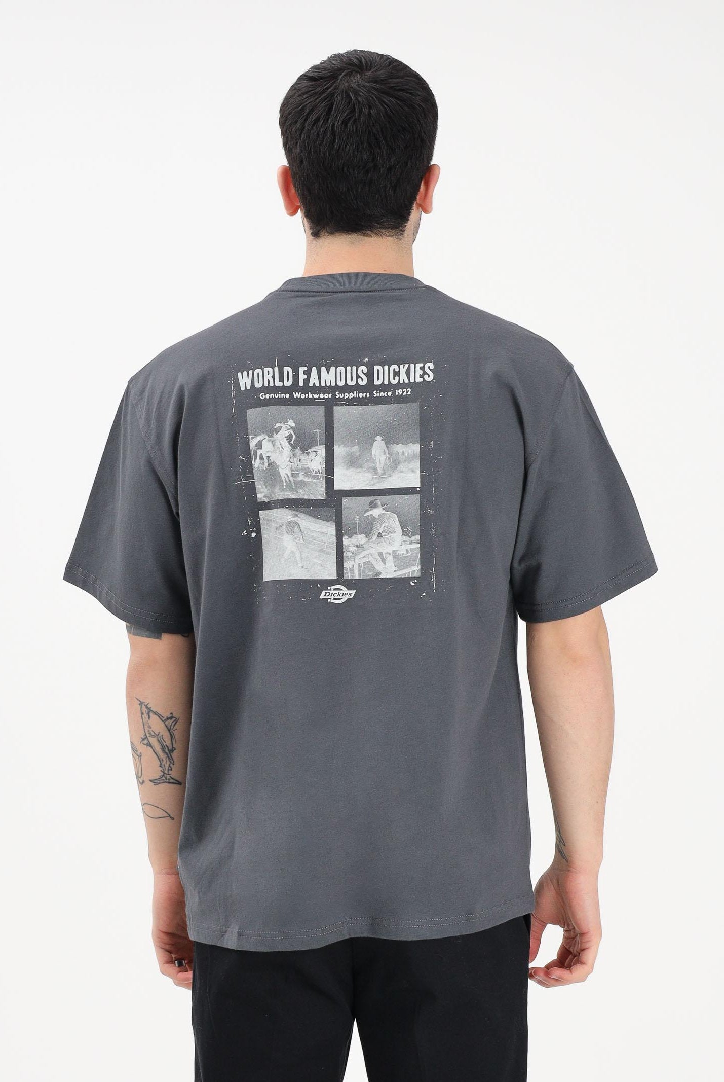 DICKIES T-shirt a manica corta Wolfhurst grigia da uomo DK0A88QOCH01 . DIckies