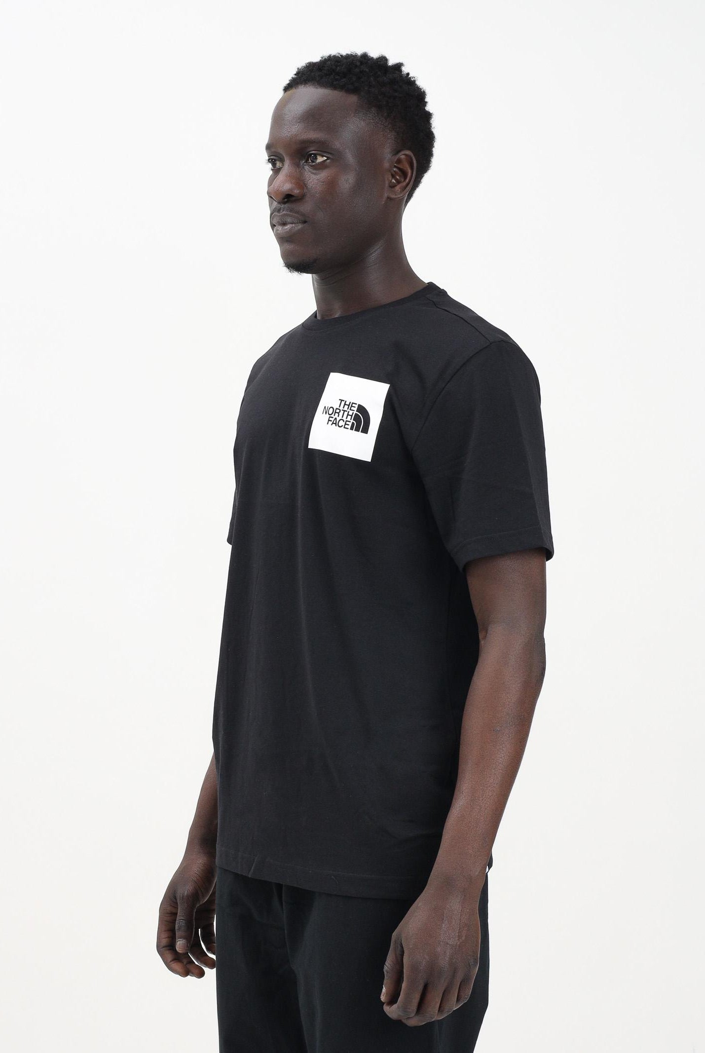 THE NORTH FACE T-shirt a manica corta Fine nera da uomo NF0A8A6MJK31 . THE NORTH FACE