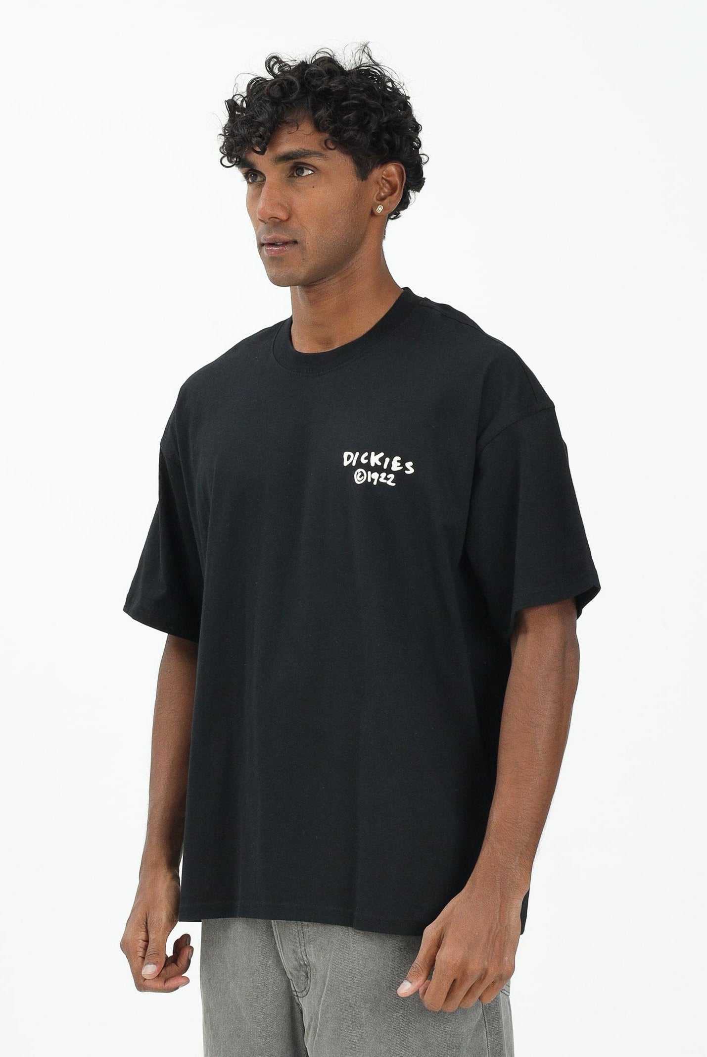 DICKIES T-shirt a manica corta Sneedville nera da uomo DK0A87QOBLK1 DIckies